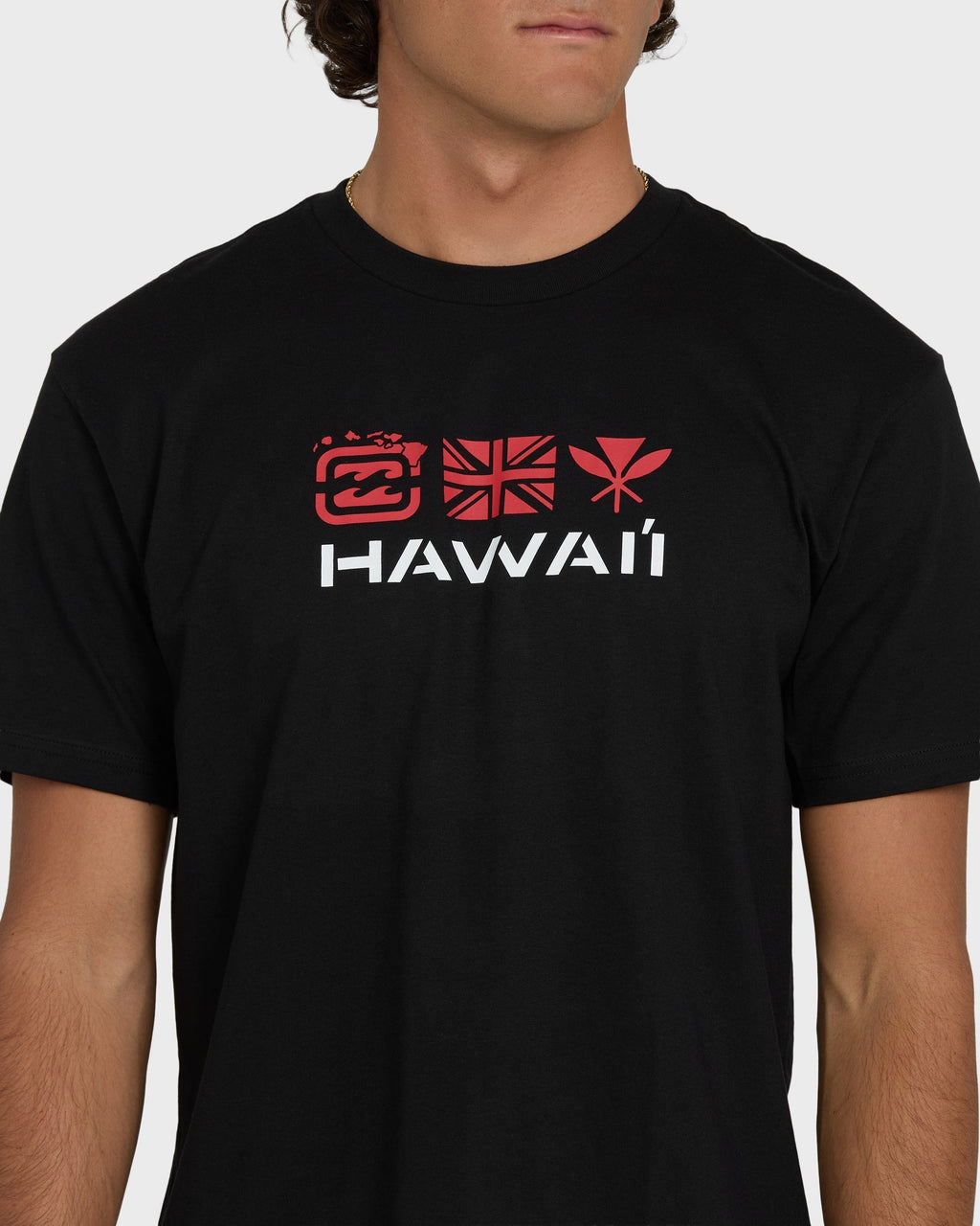 Billabong Kahili Hawaii Regular Short Sleeve Tee - Black