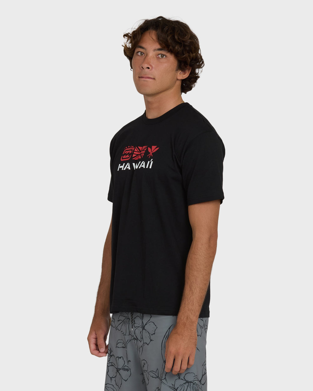 Billabong Kahili Hawaii Regular Short Sleeve Tee - Black