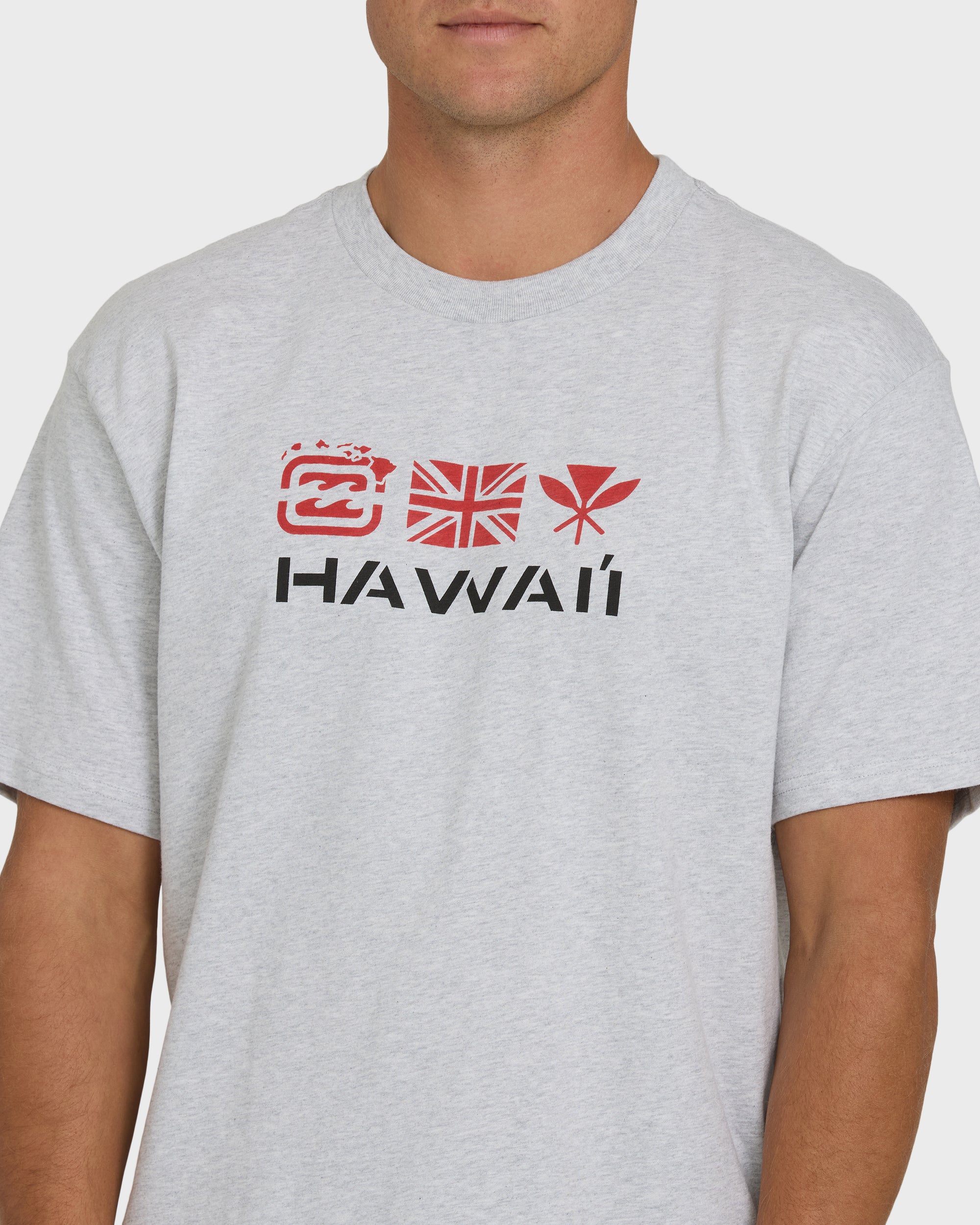Billabong Kahili Hawaii Regular Short Sleeve Tee - Heather Gray