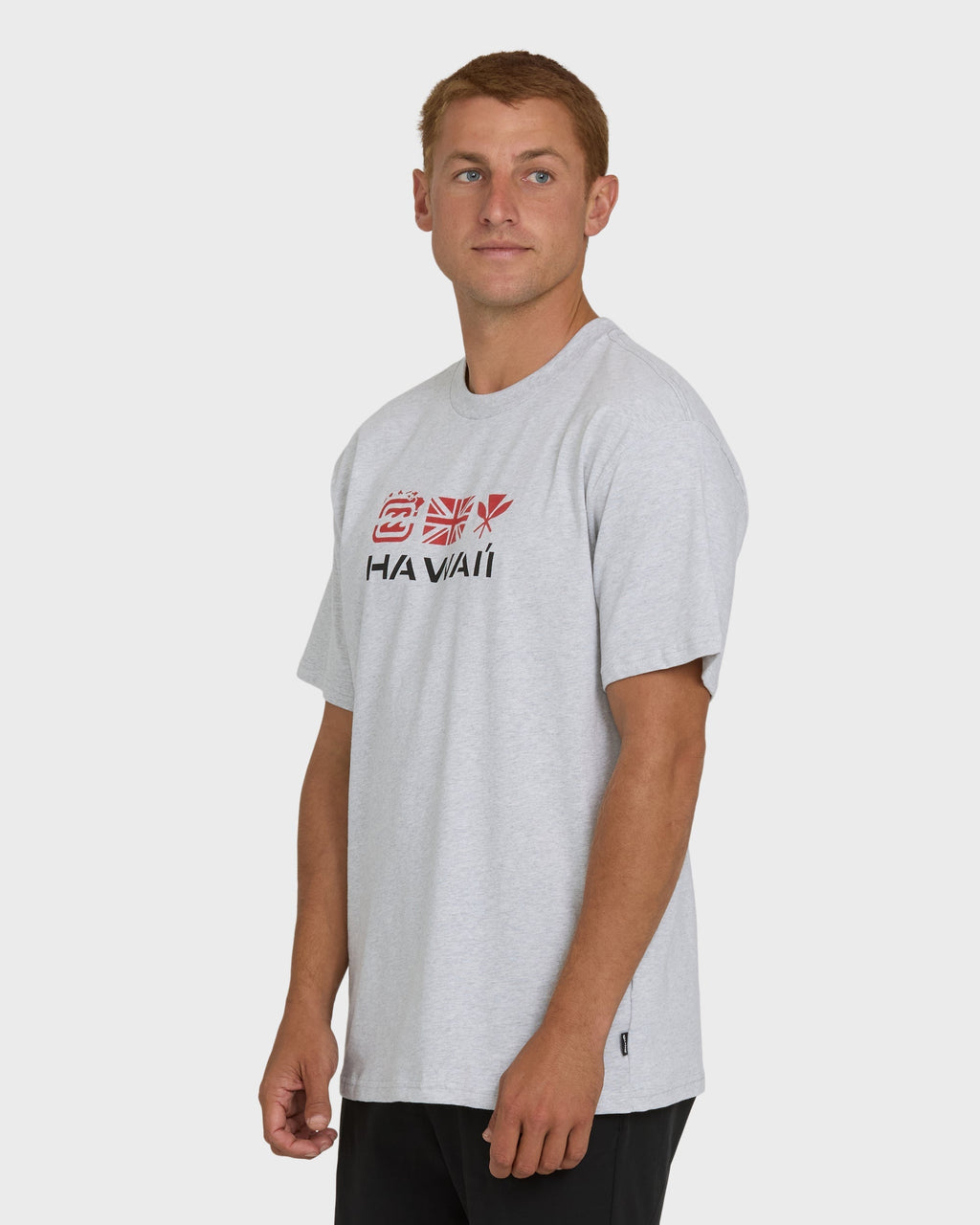 Billabong Kahili Hawaii Regular Short Sleeve Tee - Heather Gray