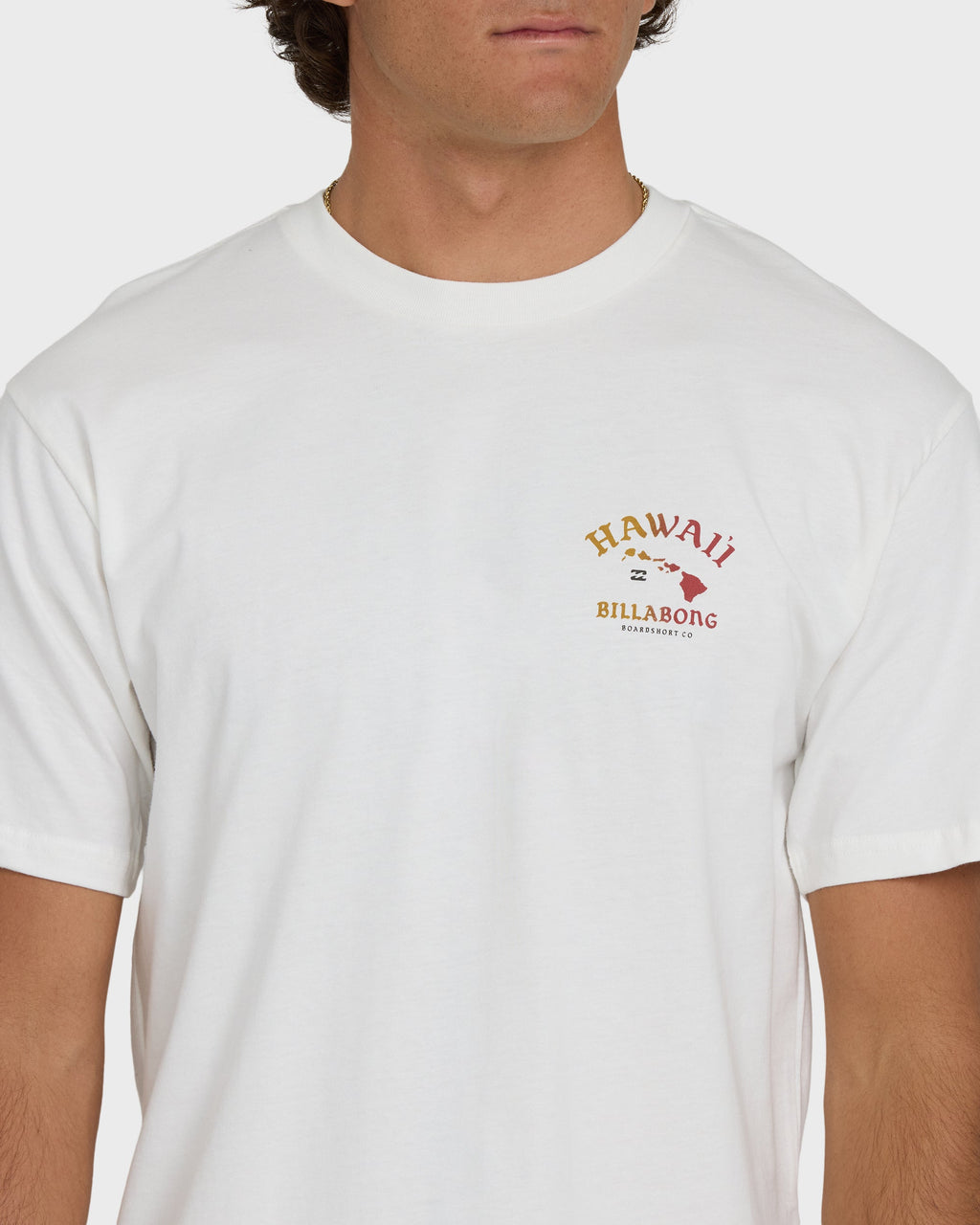 Billabong Island Chain Hawaii Regular Short Sleeve Tee - Off White