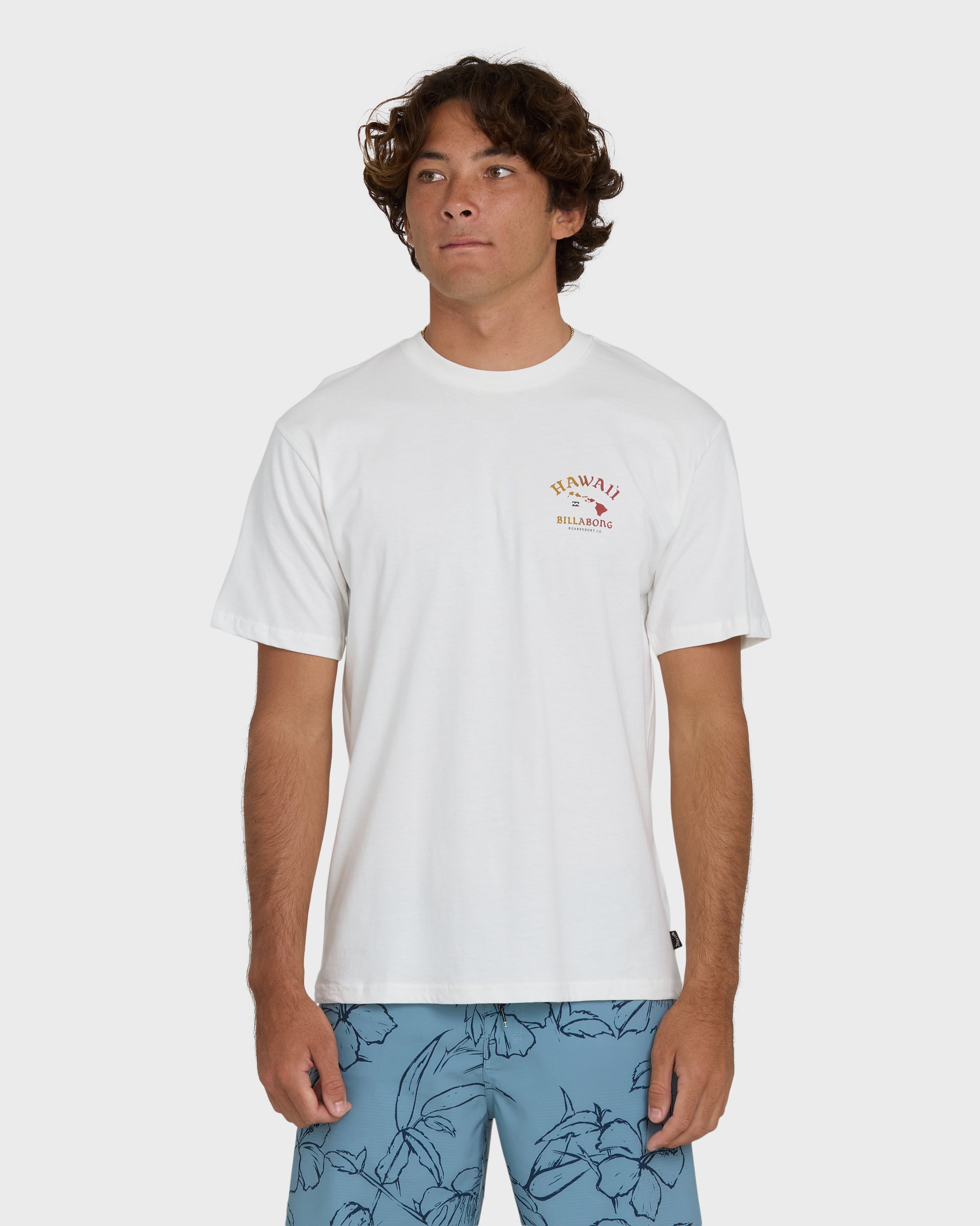 Billabong Island Chain Hawaii Regular Short Sleeve Tee - Off White