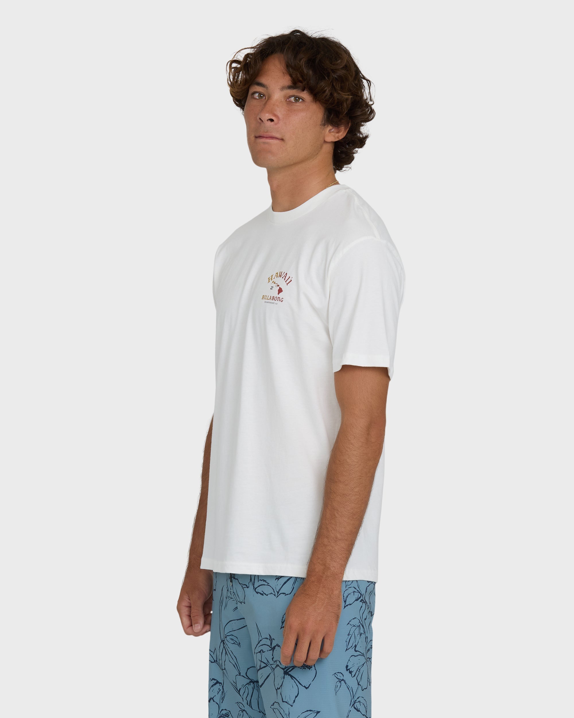 Billabong Island Chain Hawaii Regular Short Sleeve Tee - Off White