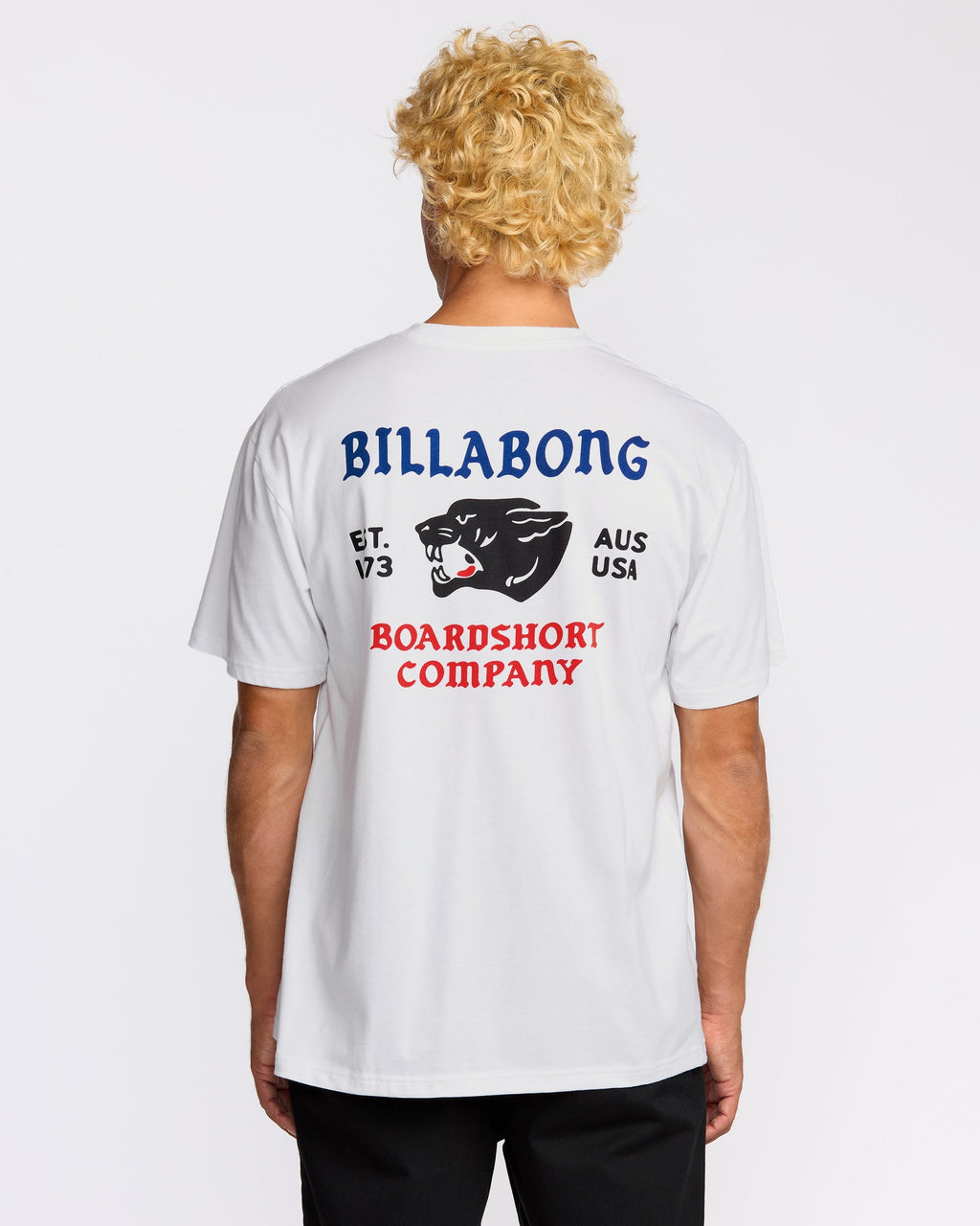 Billabong Formidable Regular Short Sleeve T-Shirt - White