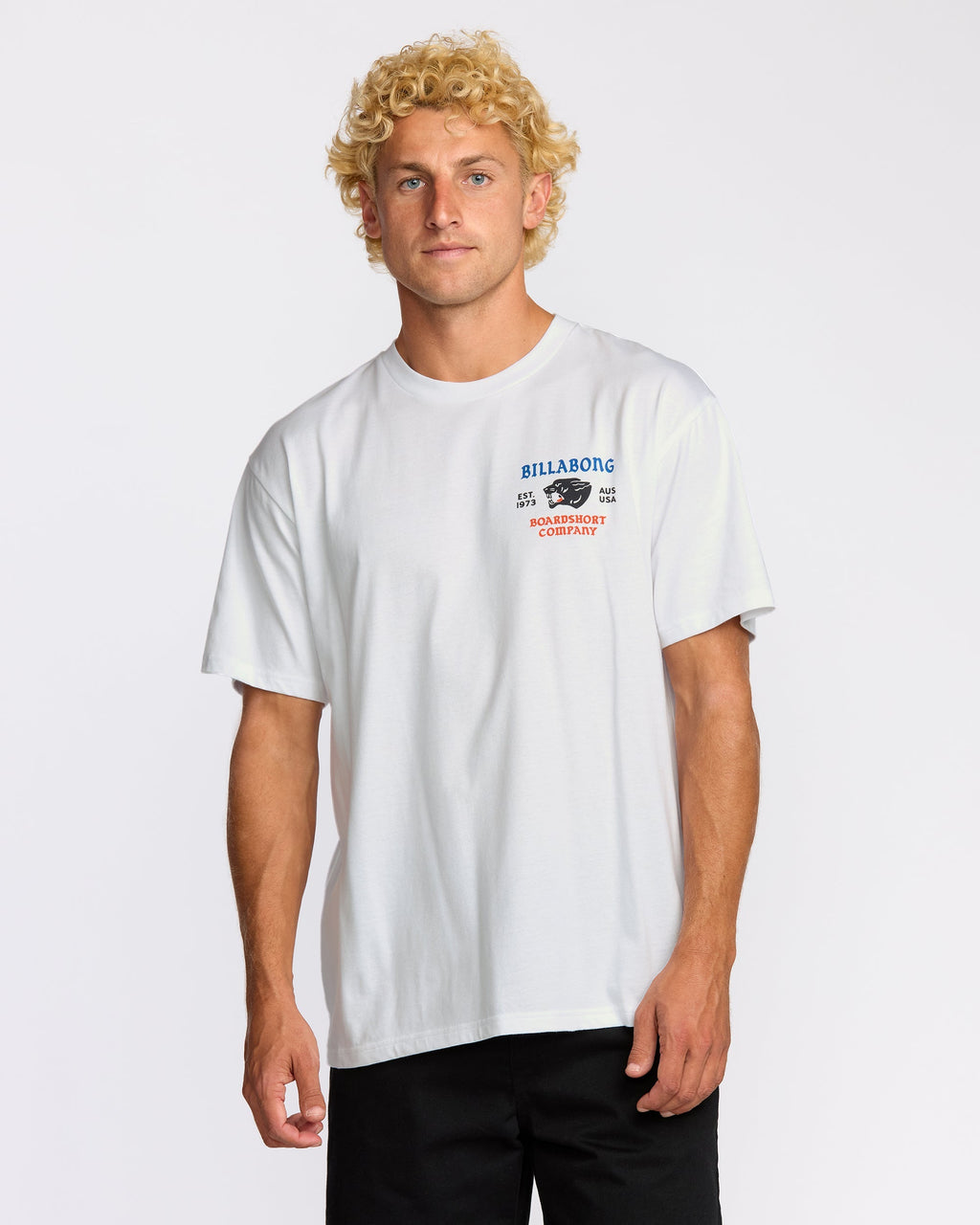 Billabong Formidable Regular Short Sleeve T-Shirt - White