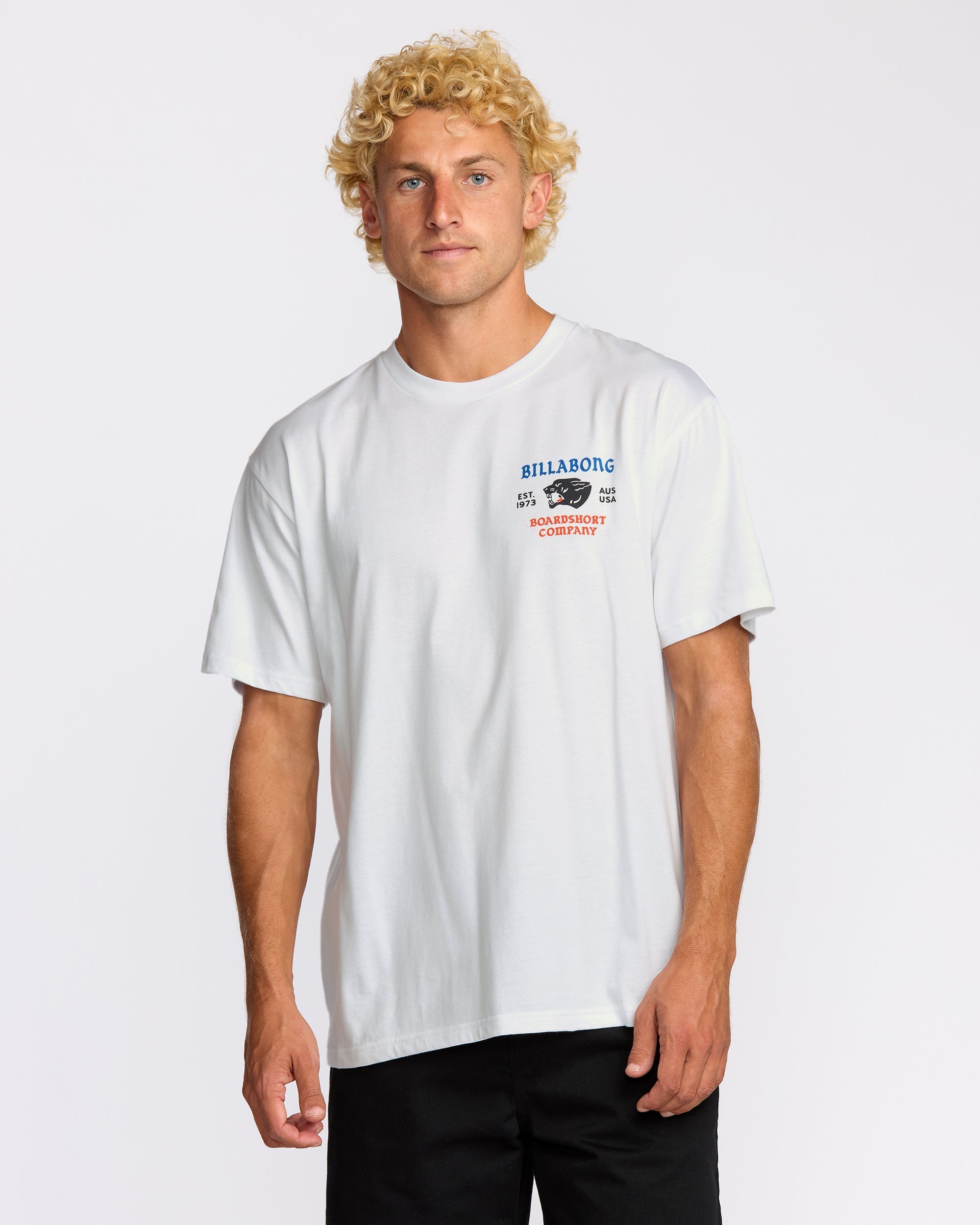 Billabong Formidable Regular Short Sleeve T-Shirt - White