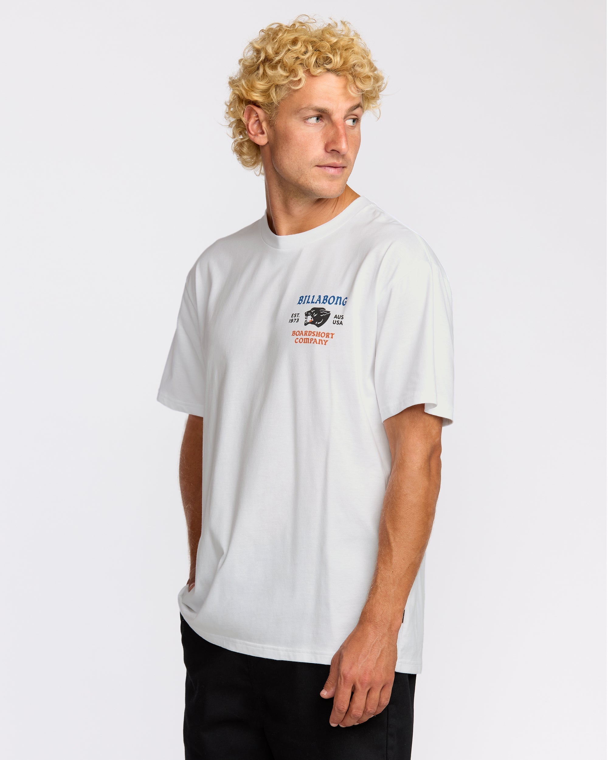 Billabong Formidable Regular Short Sleeve T-Shirt - White