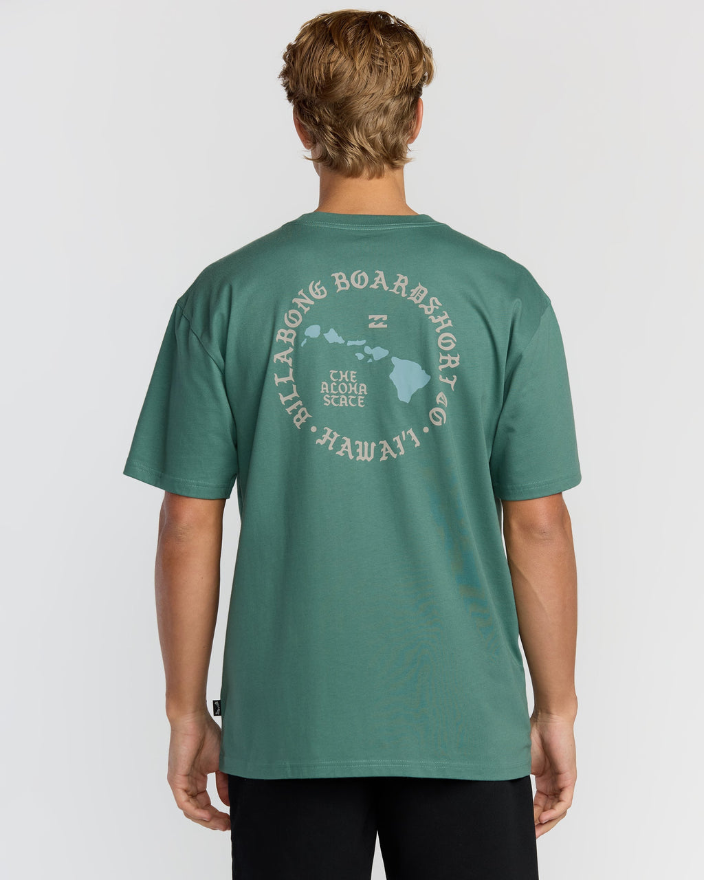 Billabong Aloha Island Hi Regular Short Sleeve T-Shirt - Sage Green