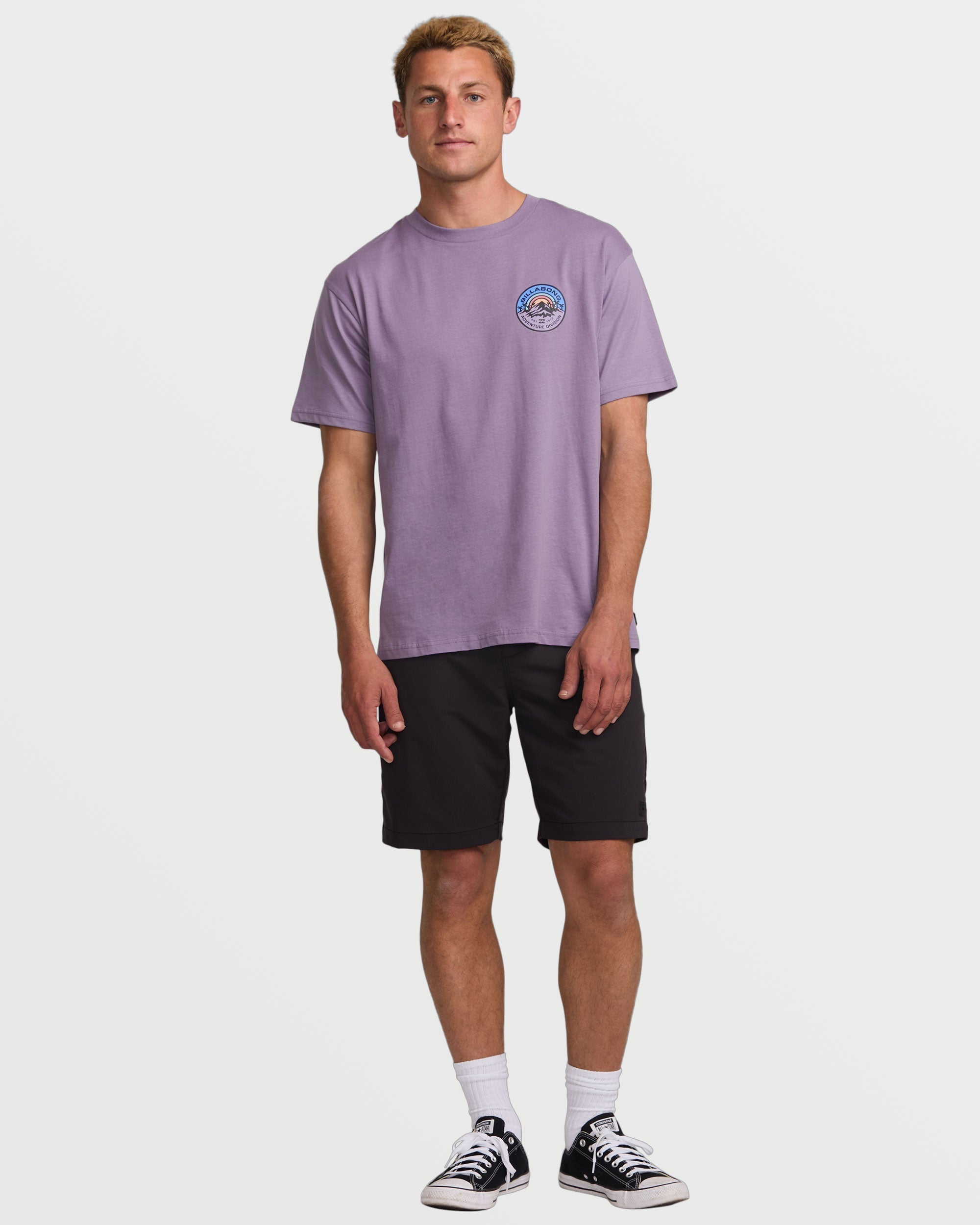 Billabong Rockies A/Div Tee - Lavender