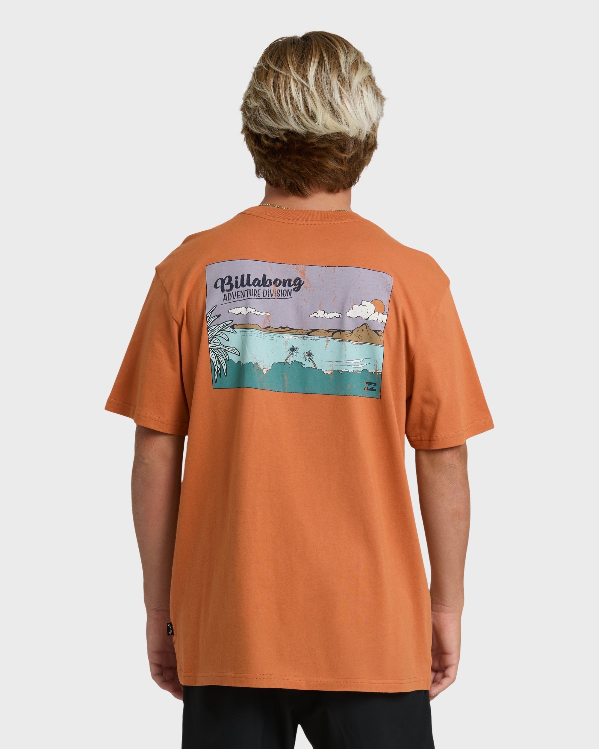 Billabong Post Cards Adiv Premium Short Sleeve T-Shirt - Dusty Orange