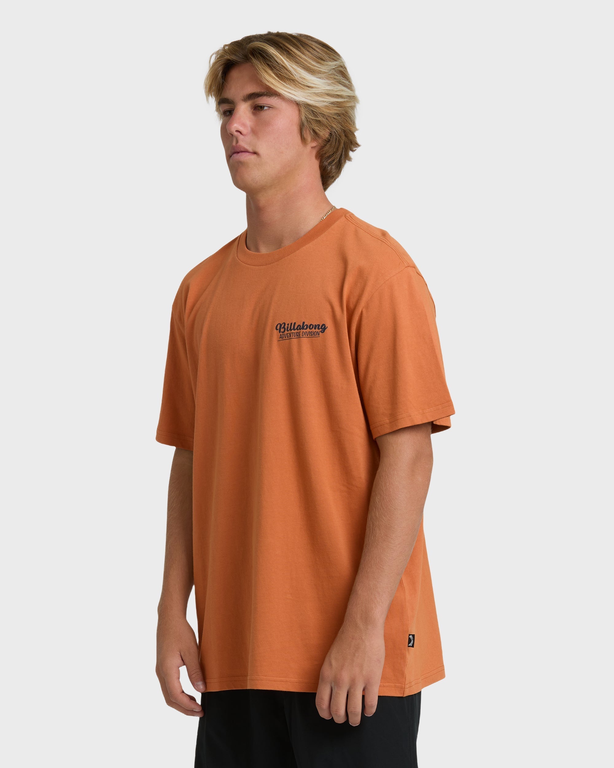Billabong Post Cards Adiv Premium Short Sleeve T-Shirt - Dusty Orange