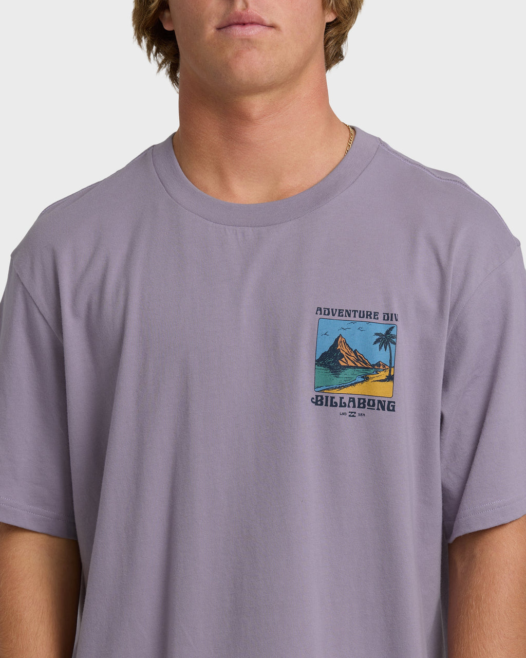 Billabong Post Cards Adiv Premium Short Sleeve T-Shirt - Purple Ash