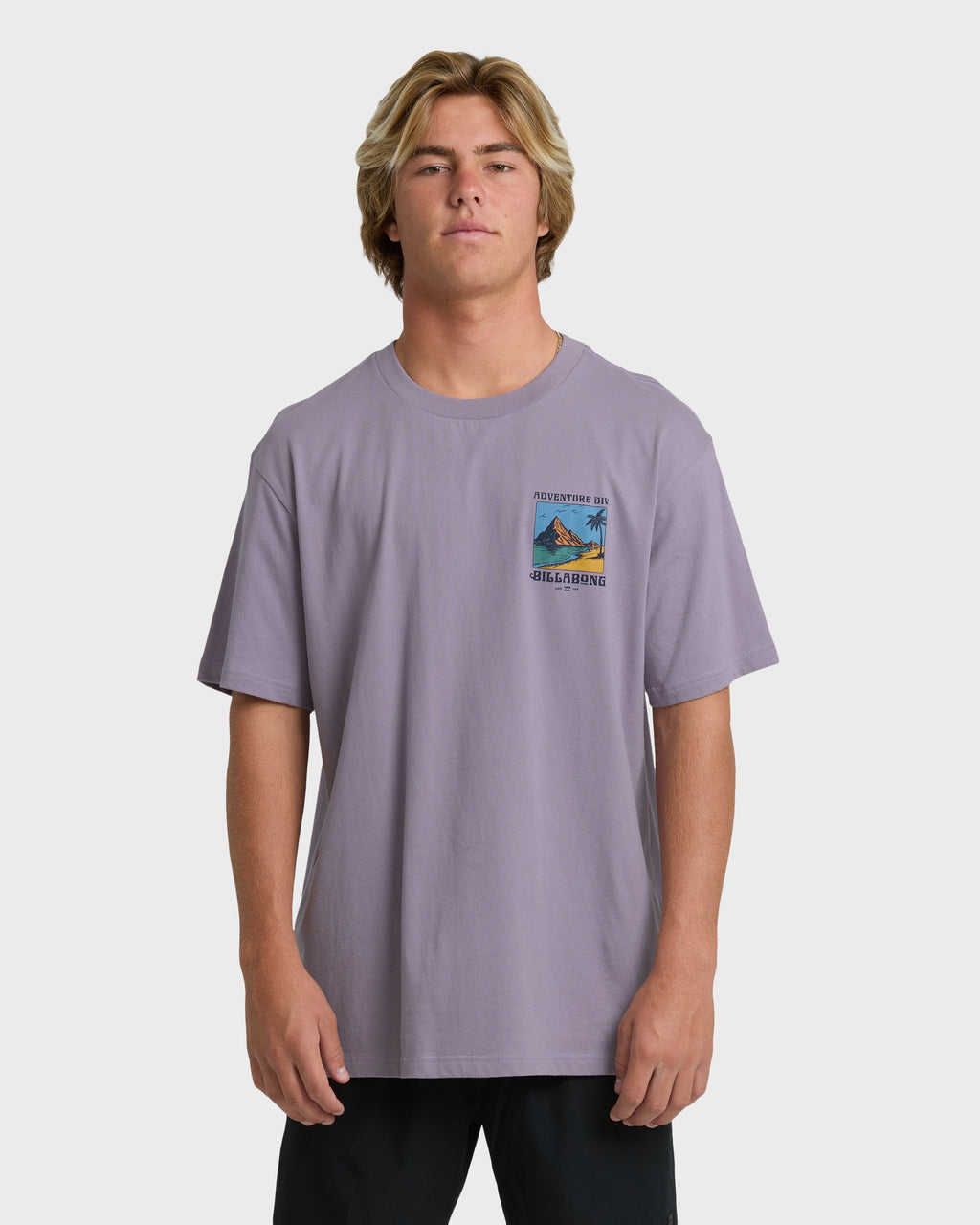 Billabong Post Cards Adiv Premium Short Sleeve T-Shirt - Purple Ash