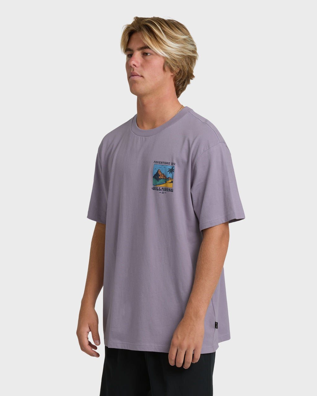 Billabong Post Cards Adiv Premium Short Sleeve T-Shirt - Purple Ash