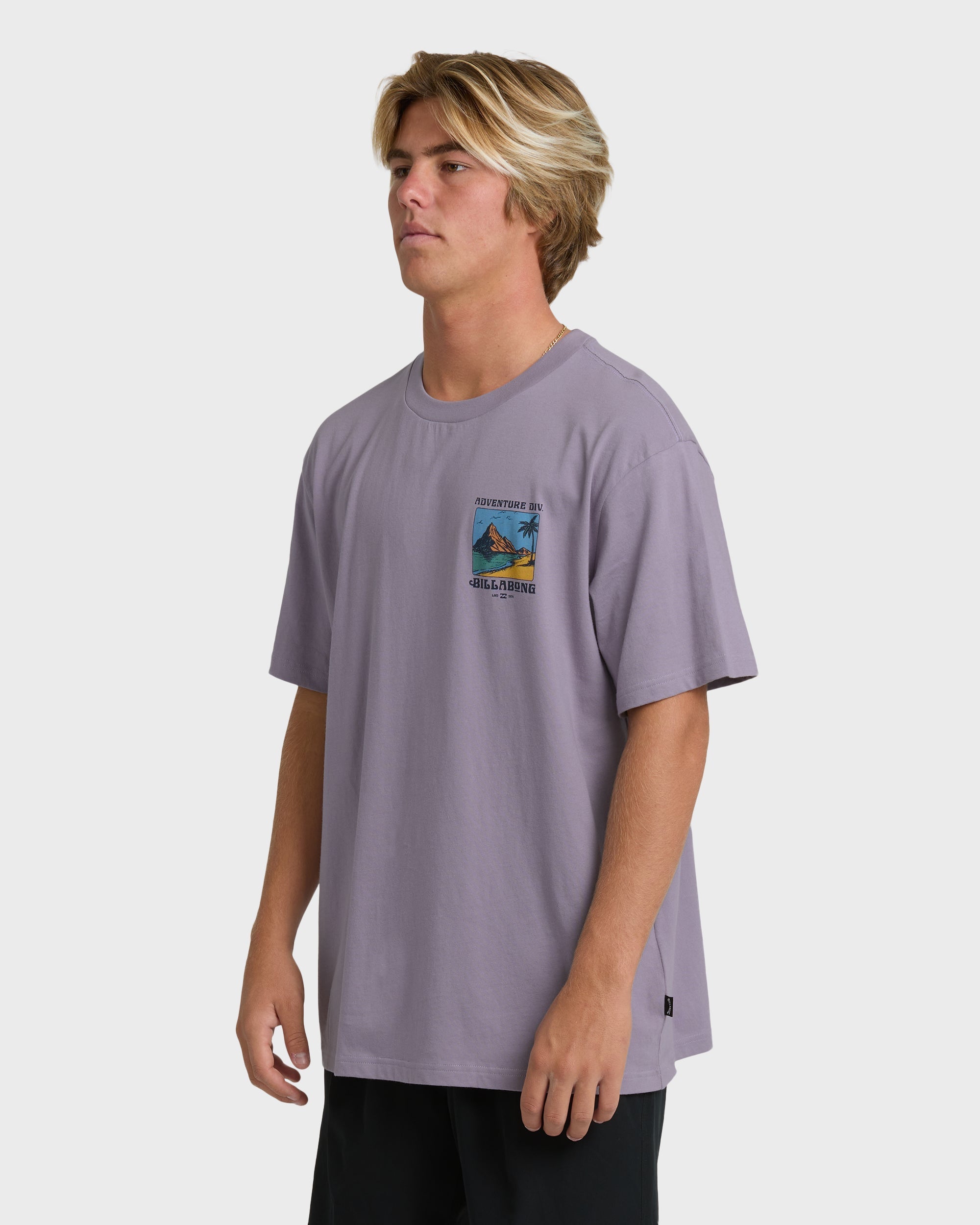 Billabong Post Cards Adiv Premium Short Sleeve T-Shirt - Purple Ash