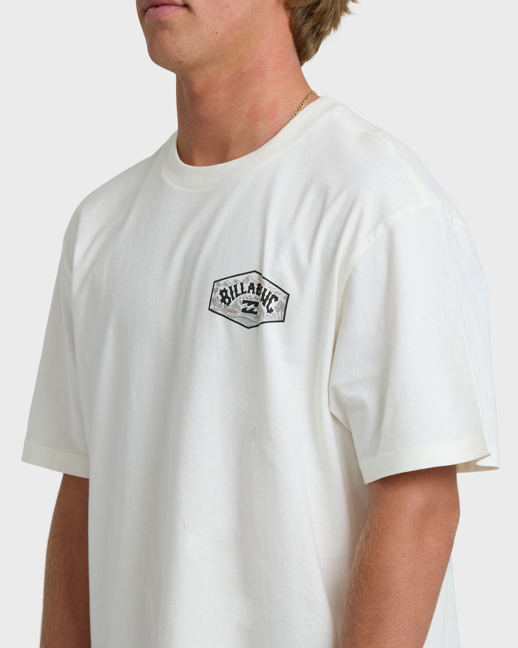 Billabong Scenic Arch Adiv Premium Short Sleeve T-Shirt - Off White