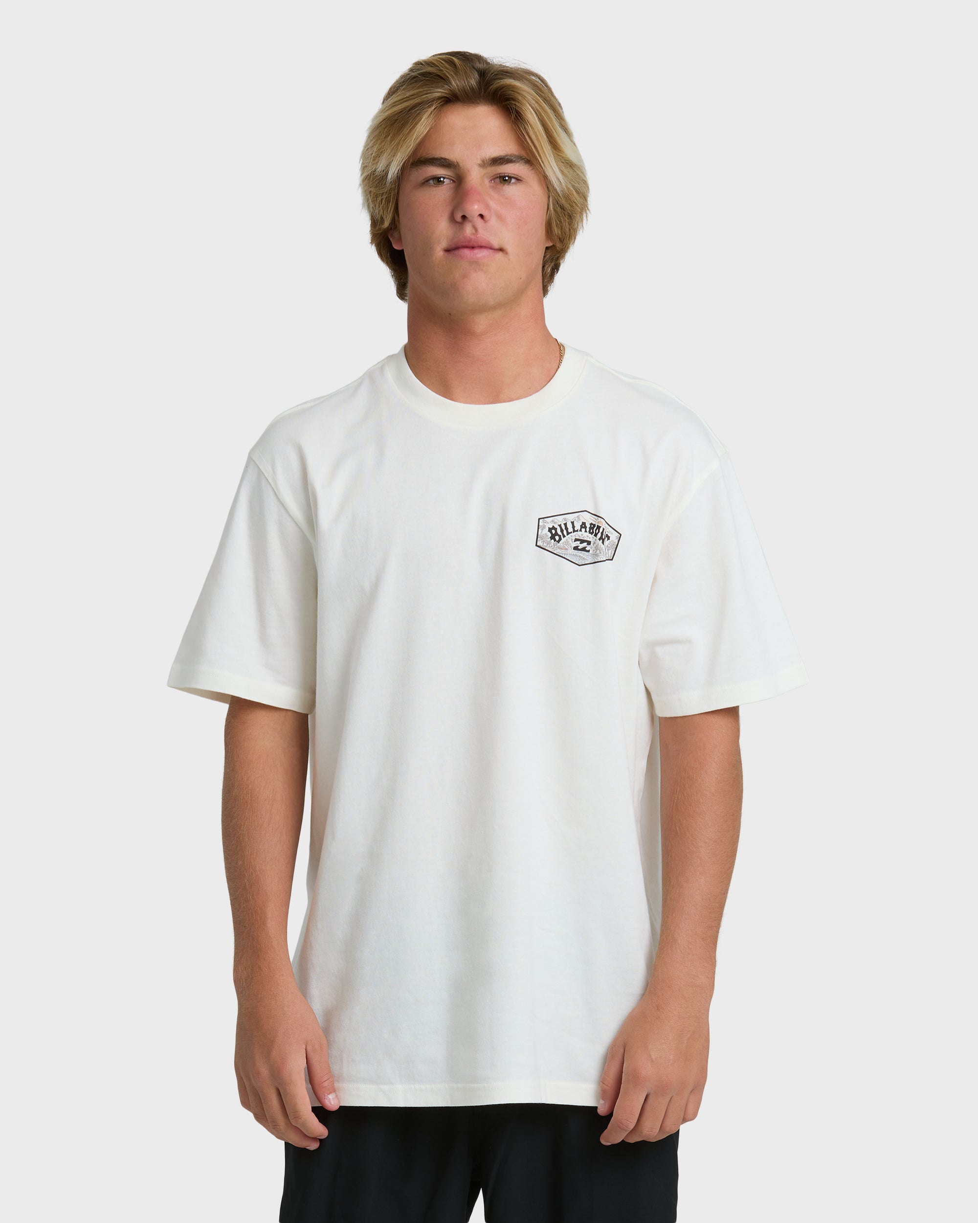 Billabong Scenic Arch Adiv Premium Short Sleeve T-Shirt - Off White