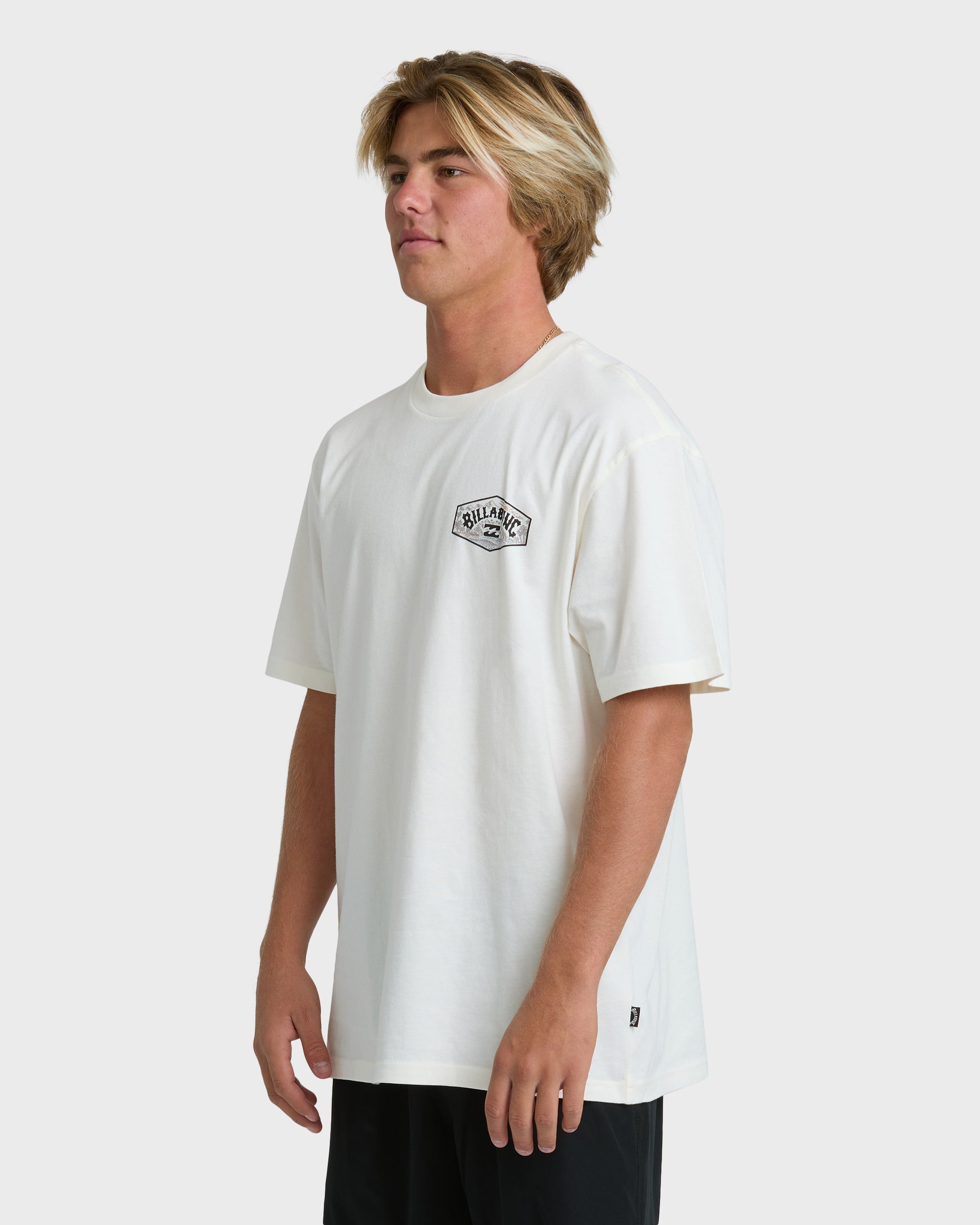 Billabong Scenic Arch Adiv Premium Short Sleeve T-Shirt - Off White