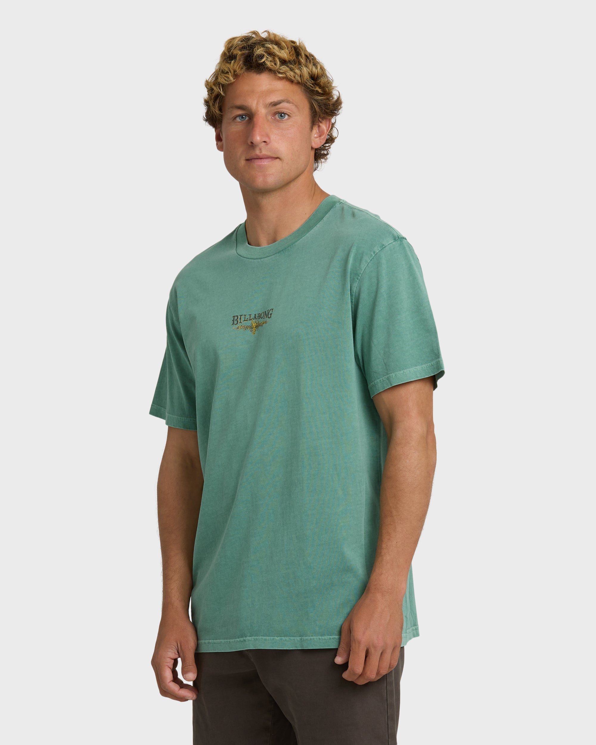 Billabong Pure Intentions Wave Washed Premium Short Sleeve T-Shirt - Sea Green