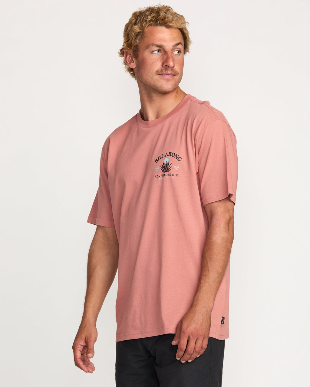 Billabong A/Div Agave Tee - Dusty Rose