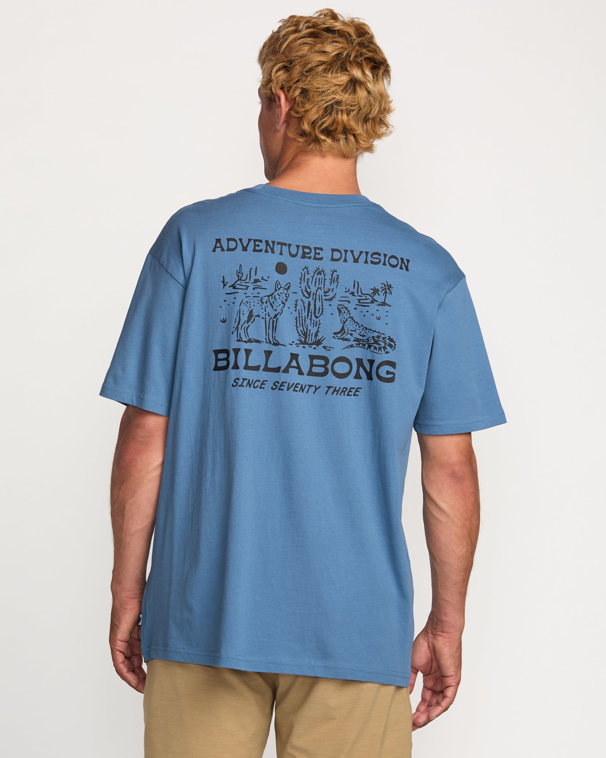 Billabong Desert Dog A/Div Tee - Carolina Blue