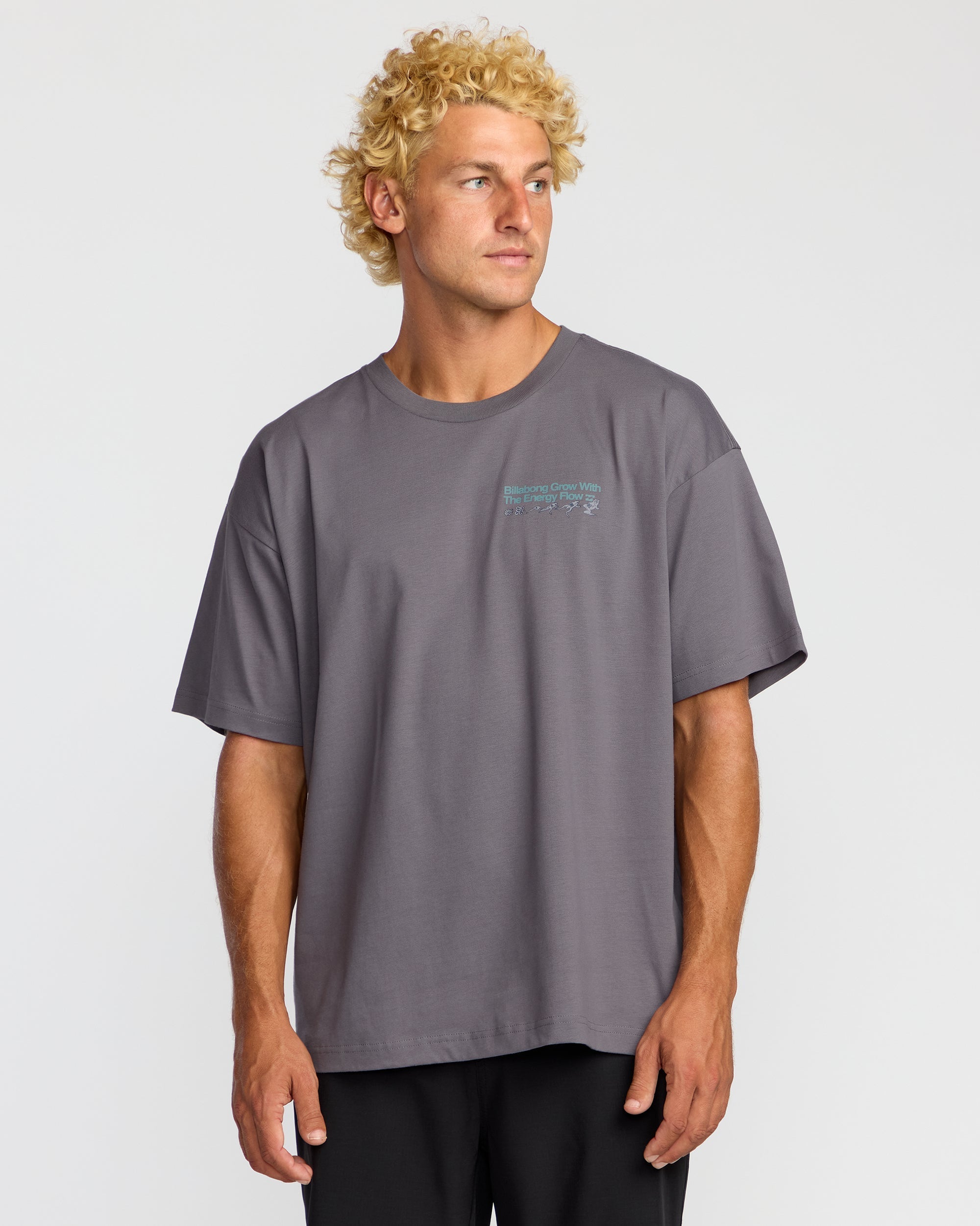 Billabong Grow OG A/Div Short Sleeve T-Shirt - Grey Violet