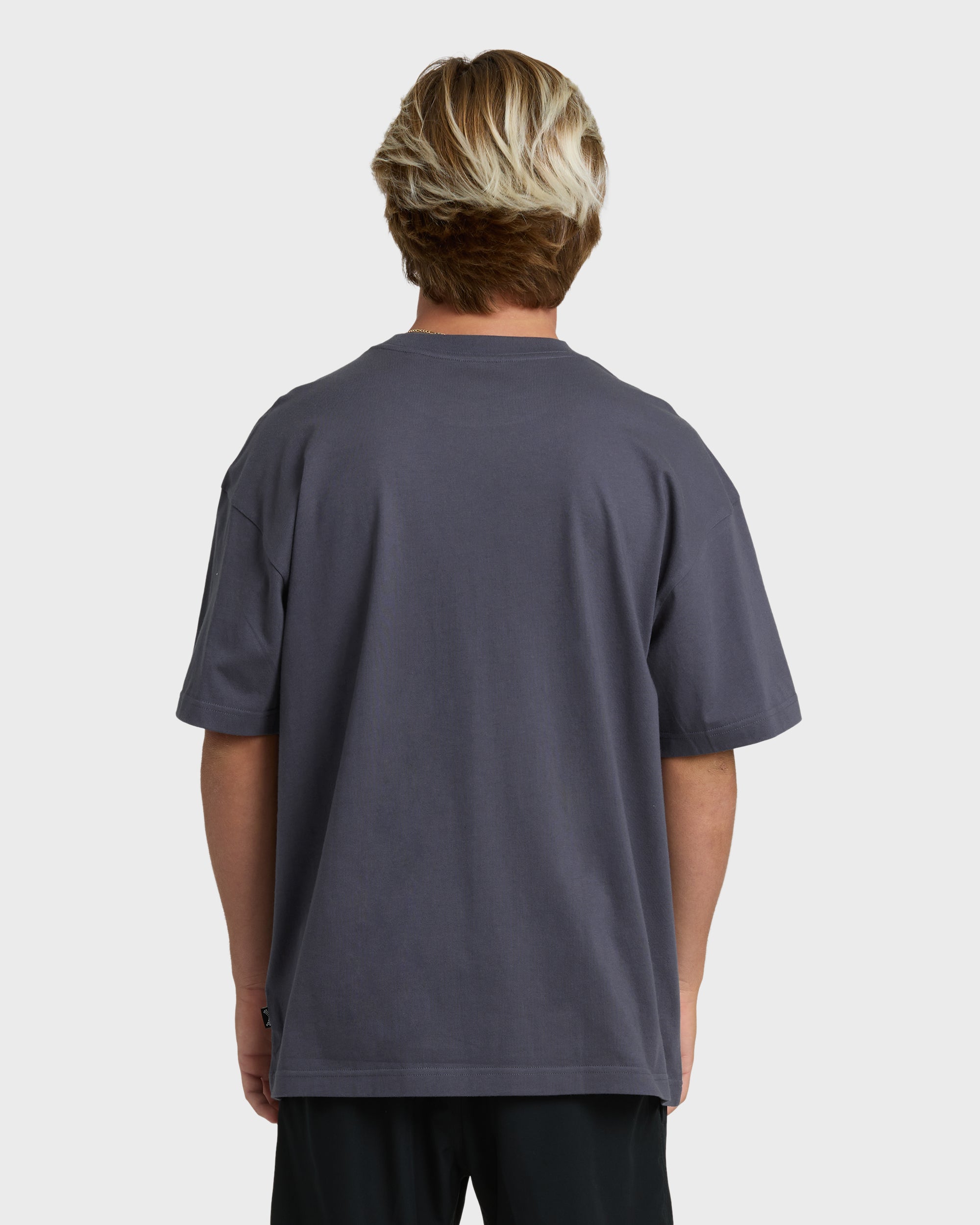 Billabong Reach The Peak Adiv Og Short Sleeve T-Shirt - Graystone