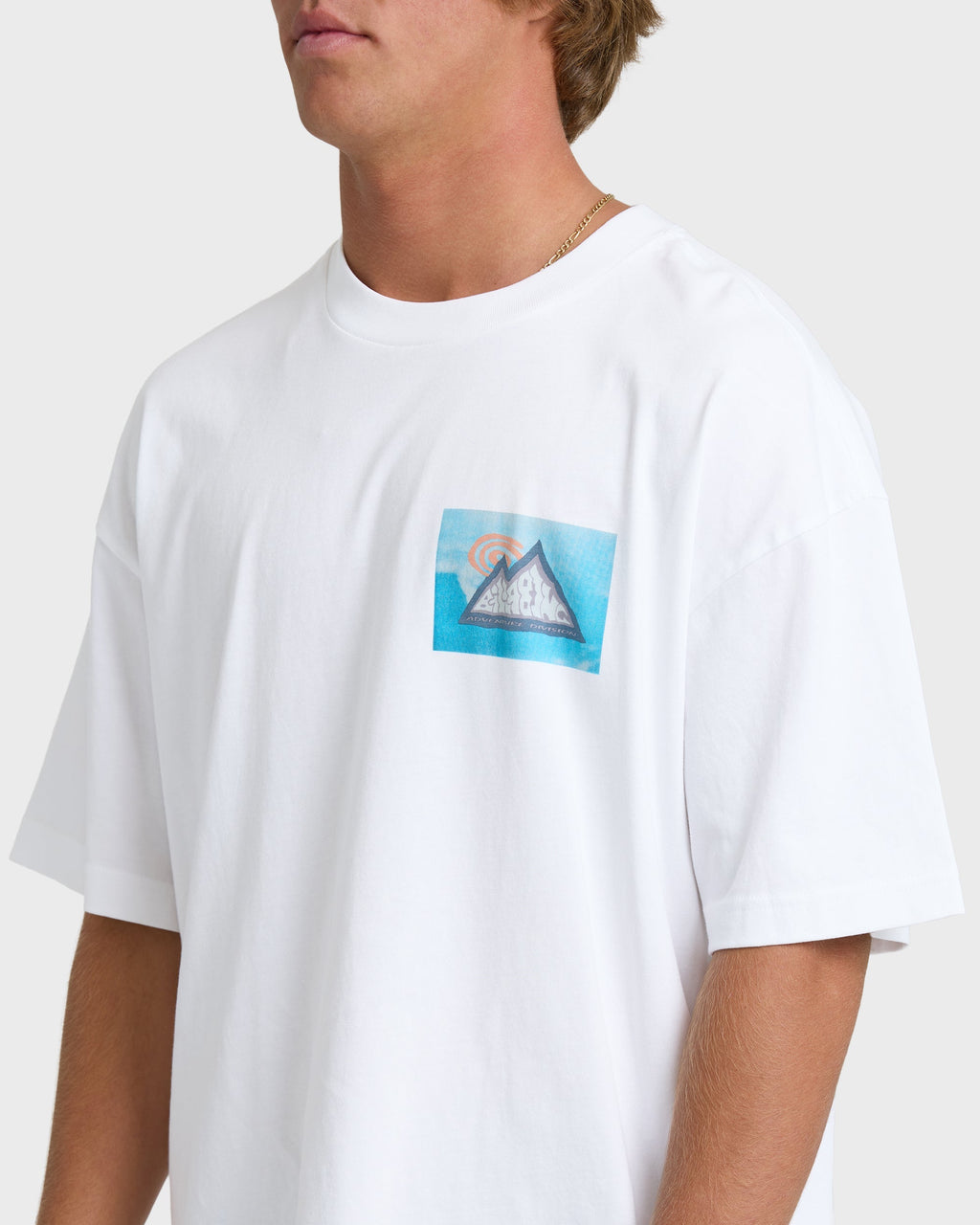 Billabong Moments Adiv Og Short Sleeve T-Shirt - White