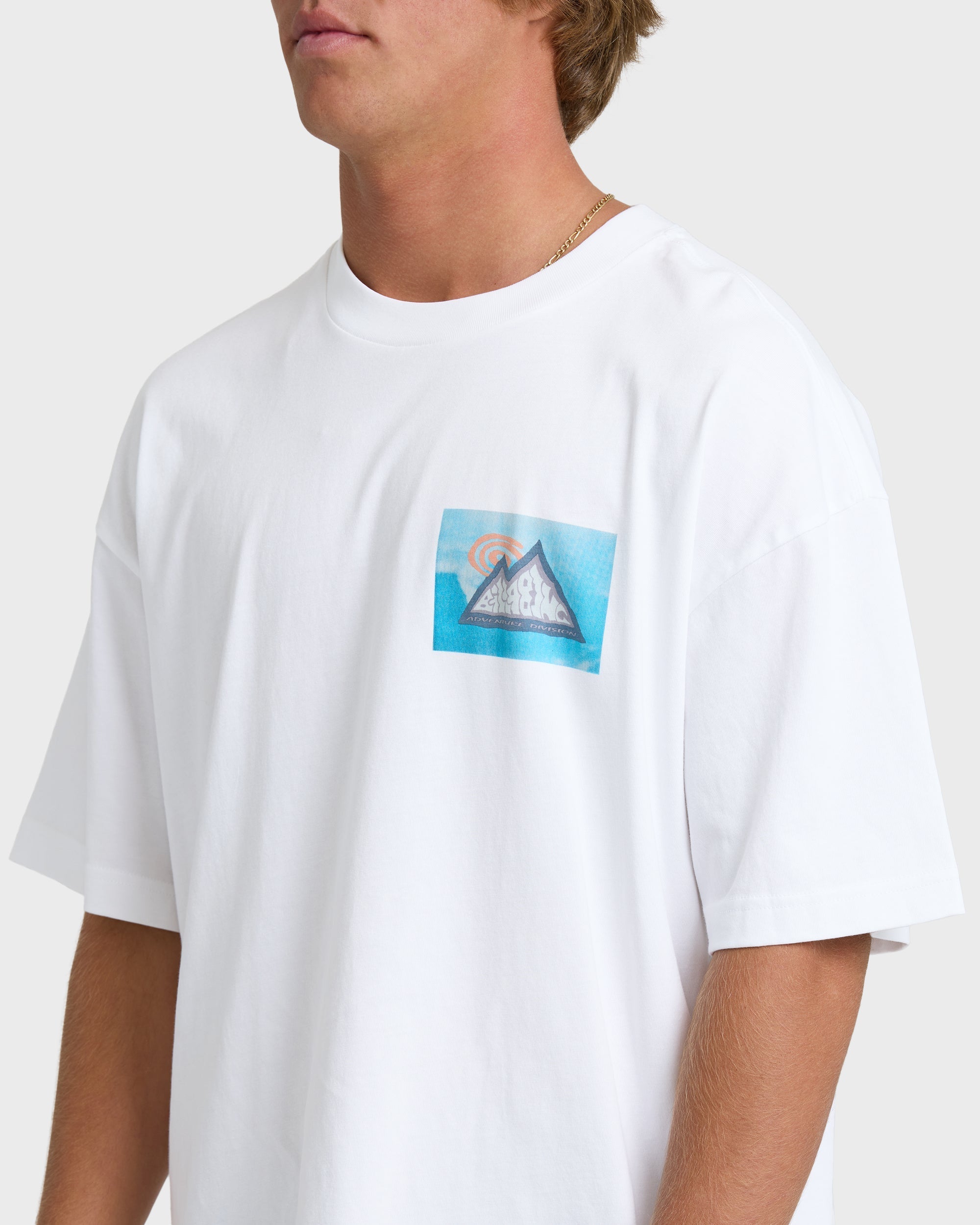 Billabong Moments Adiv Og Short Sleeve T-Shirt - White
