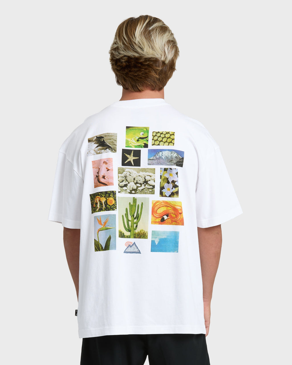 Billabong Moments Adiv Og Short Sleeve T-Shirt - White