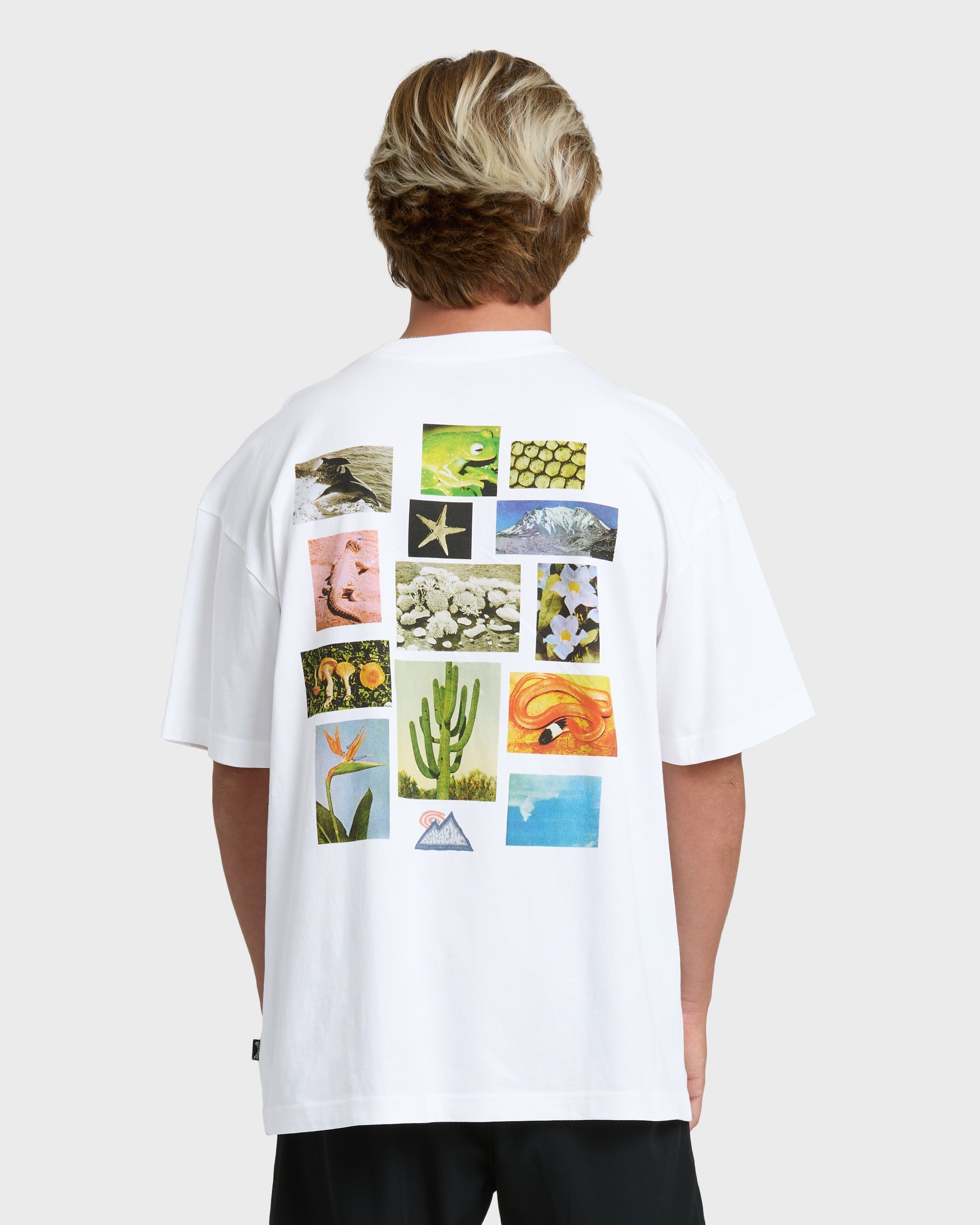 Billabong Moments Adiv Og Short Sleeve T-Shirt - White