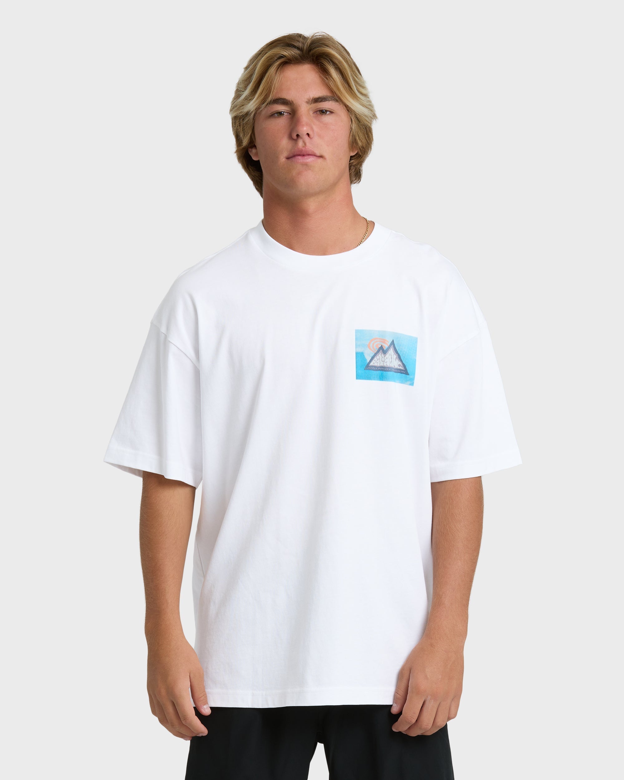 Billabong Moments Adiv Og Short Sleeve T-Shirt - White