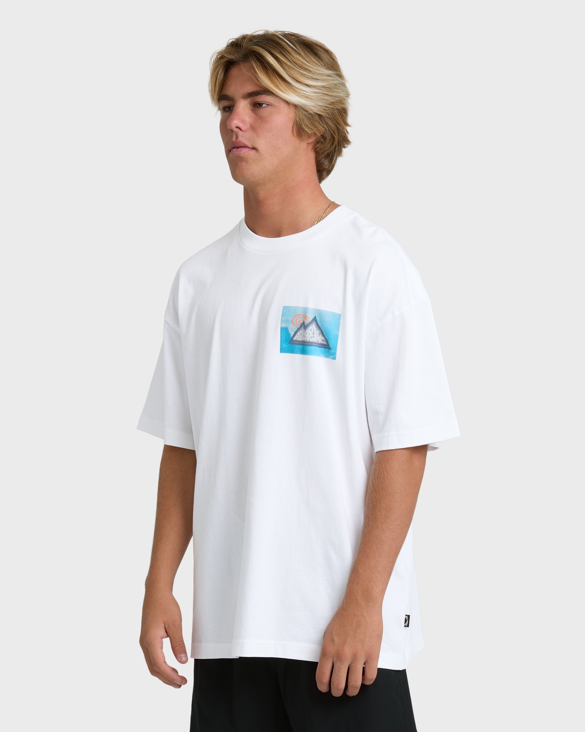 Billabong Moments Adiv Og Short Sleeve T-Shirt - White