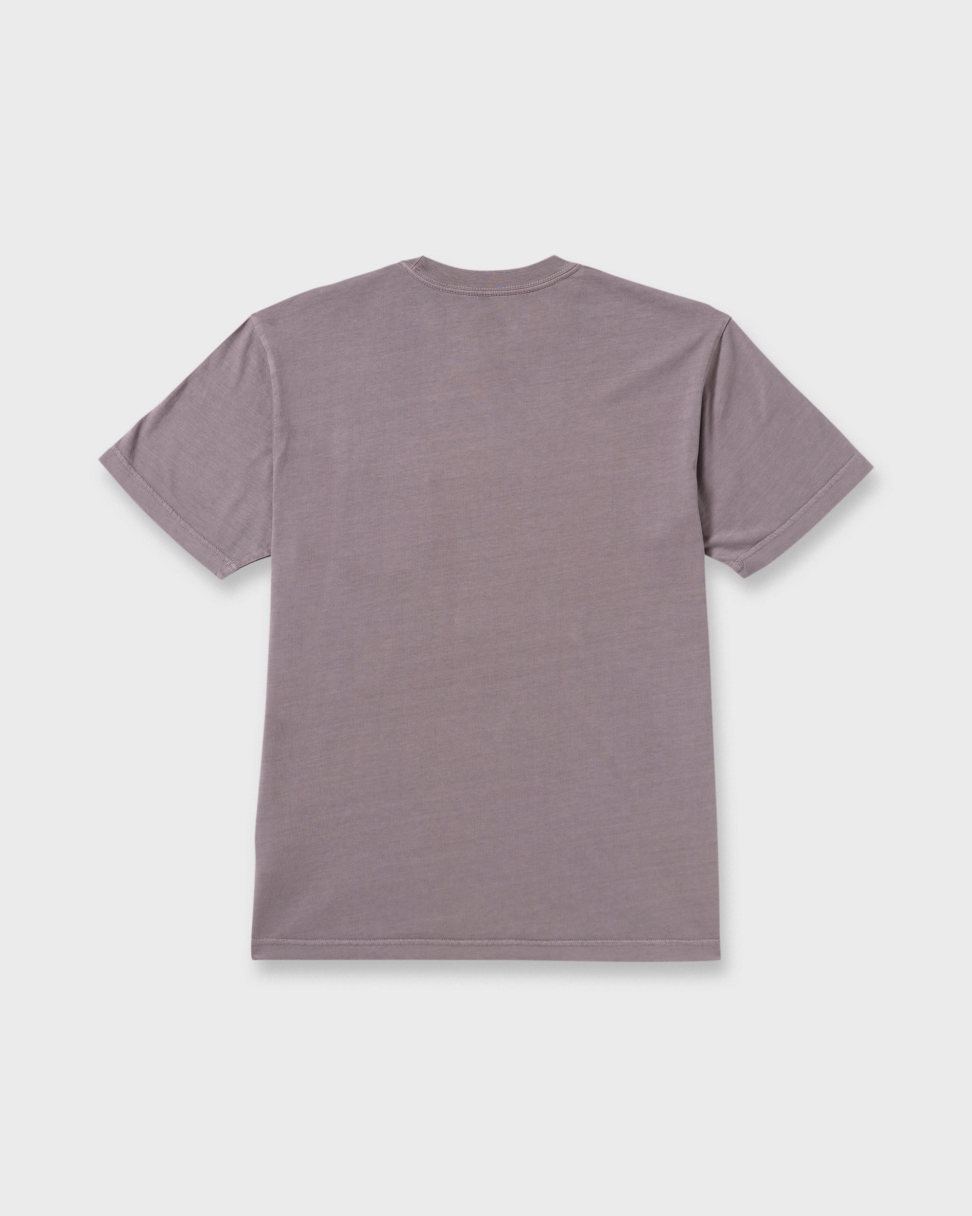 Billabong Essential Premium Wave Wash T-Shirt - Grey Violet