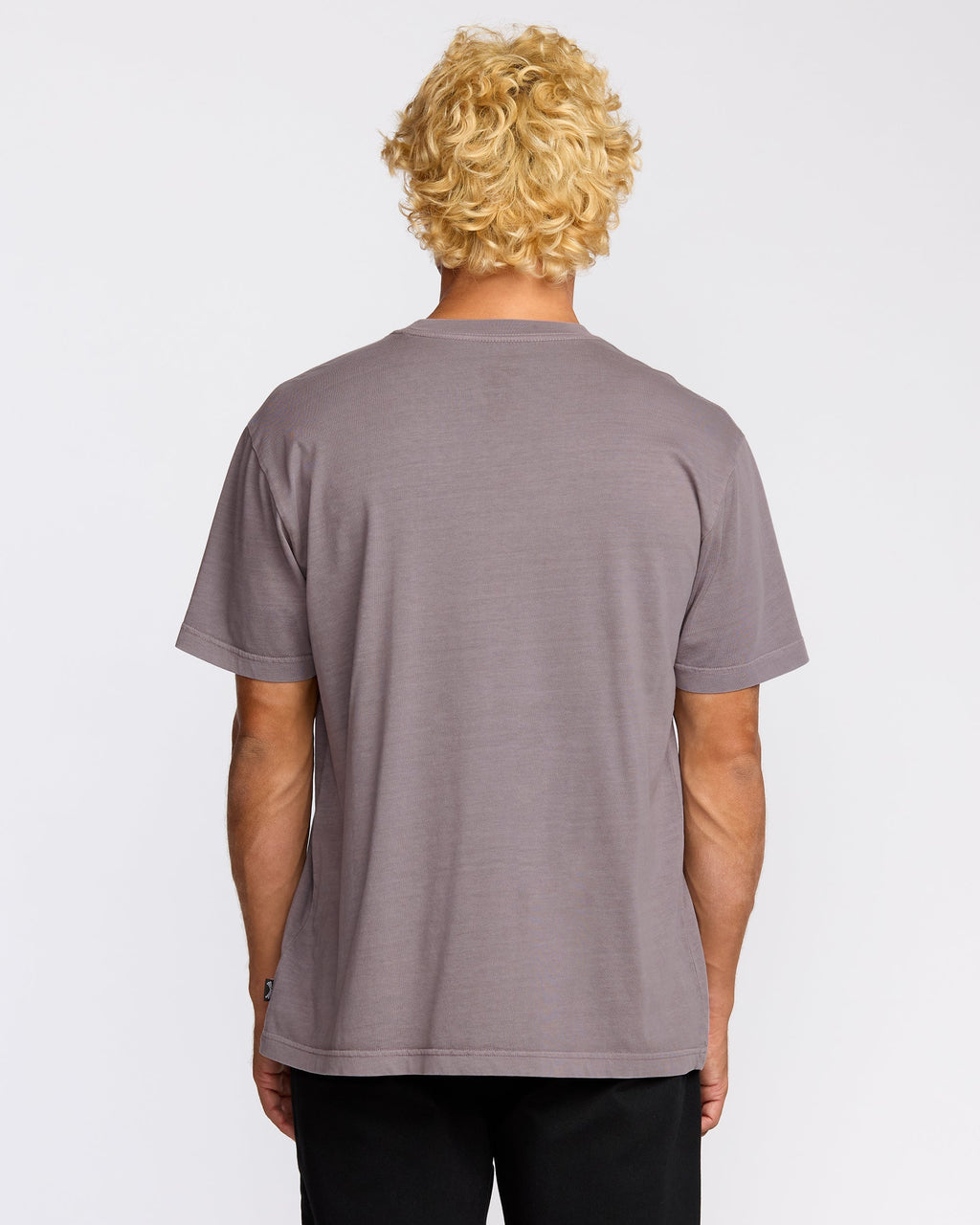 Billabong Essential Premium Wave Wash T-Shirt - Grey Violet