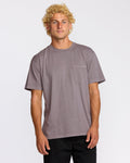 Billabong Essential Premium Wave Wash T-Shirt - Grey Violet