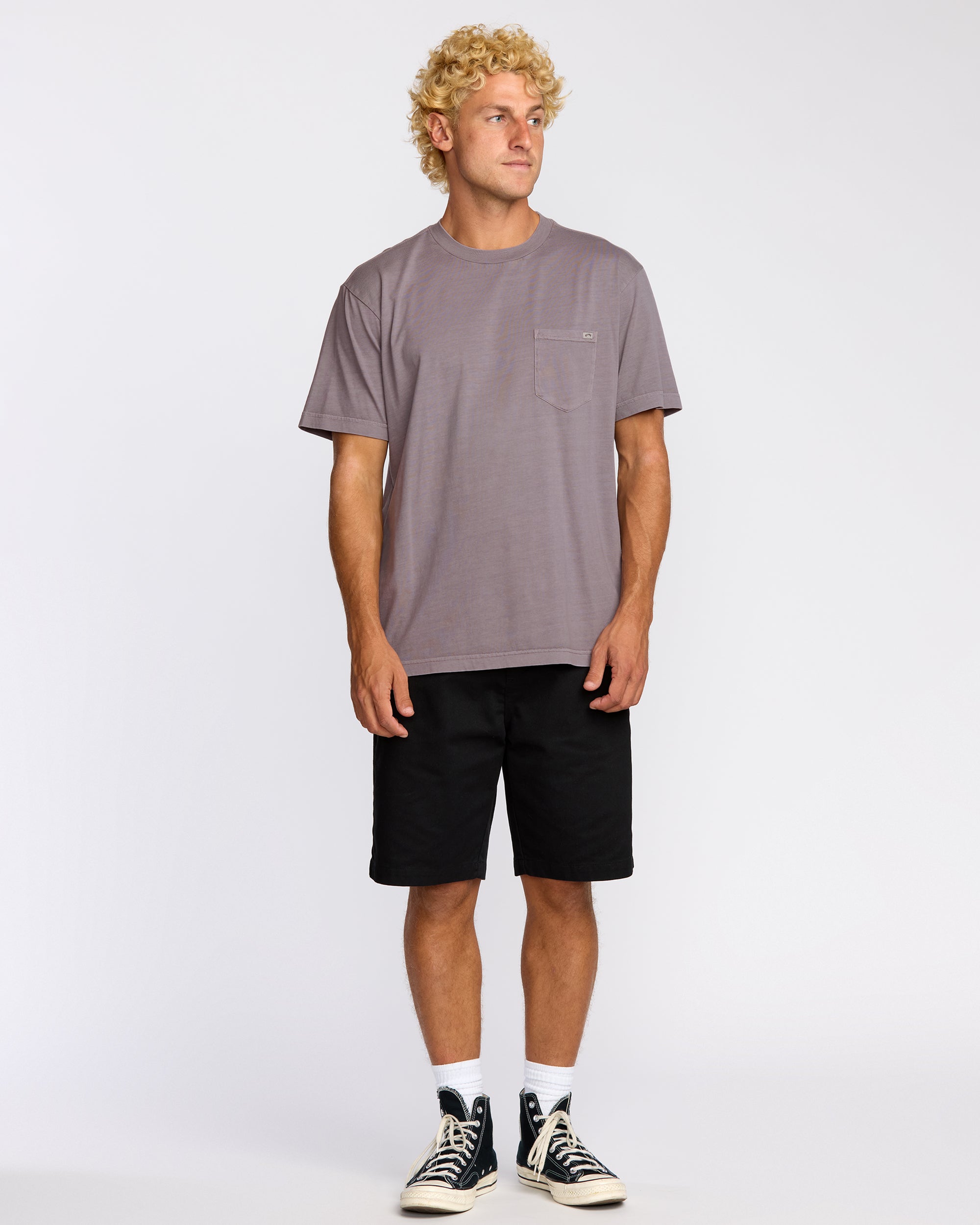 Billabong Essential Premium Wave Wash T-Shirt - Grey Violet