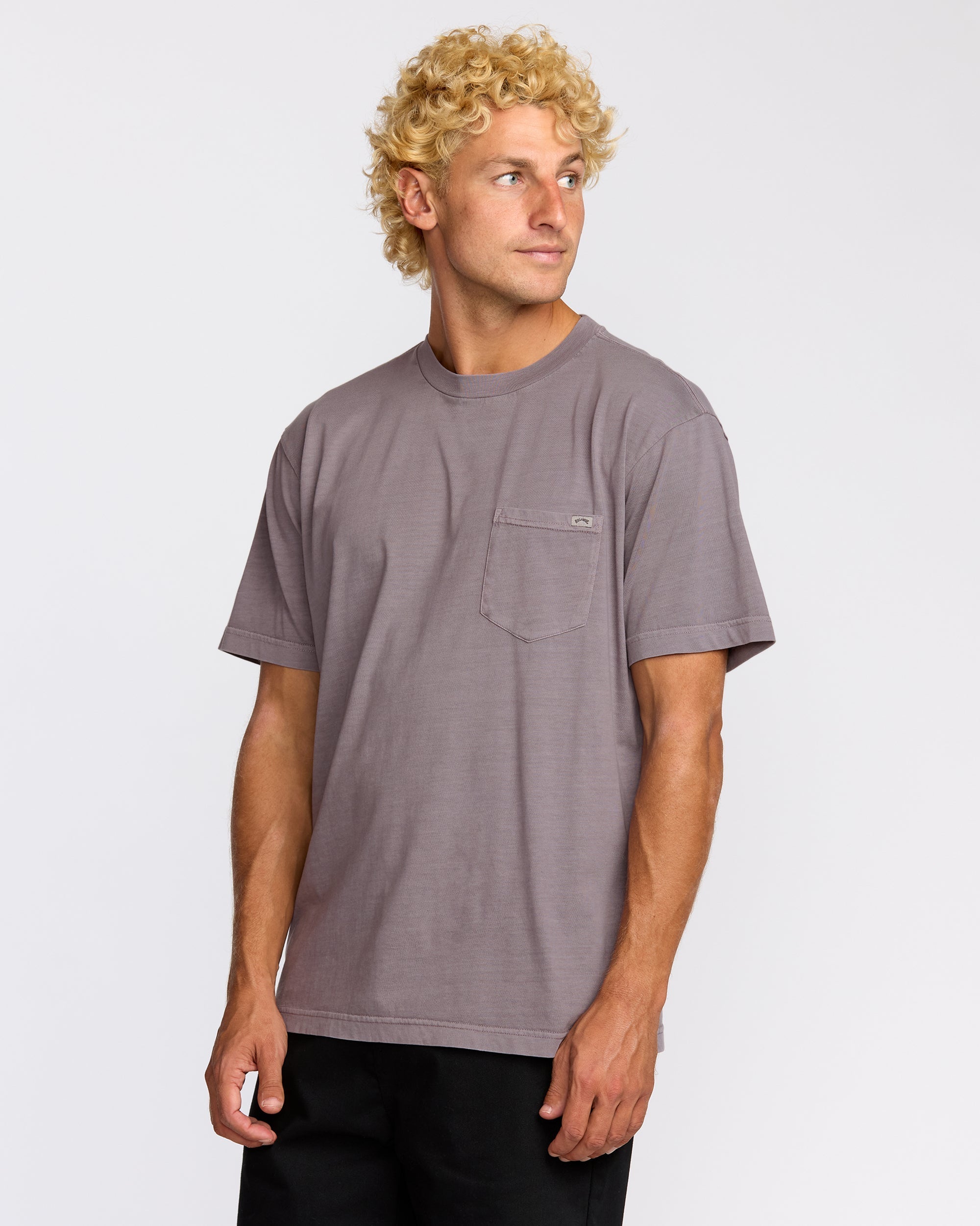 Billabong Essential Premium Wave Wash T-Shirt - Grey Violet