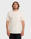 Billabong Essential Premium Wave Wash T-Shirt - Off White