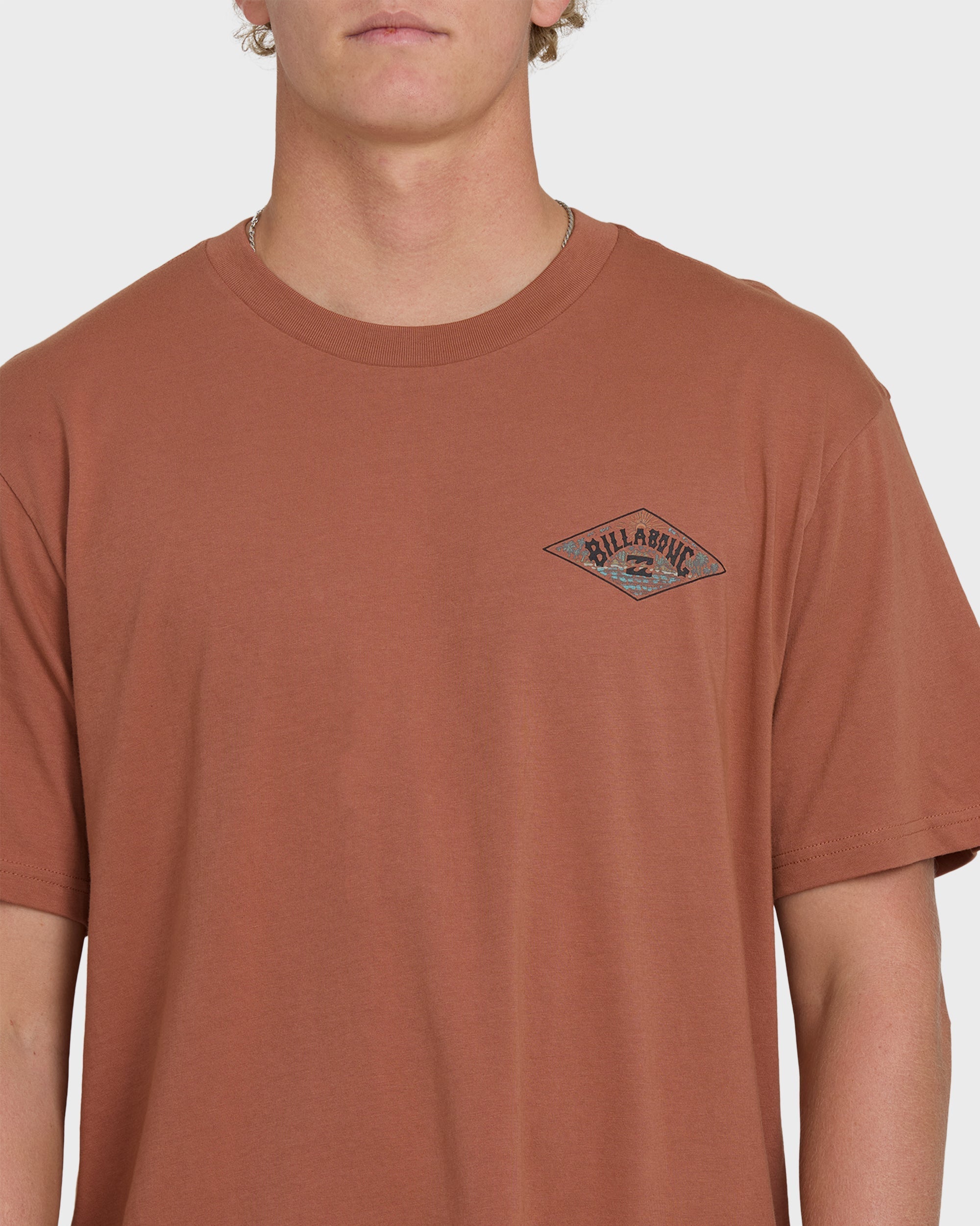 Billabong A/Div Arch Premium Short Sleeve Knit T-Shirt - Cedar Wood
