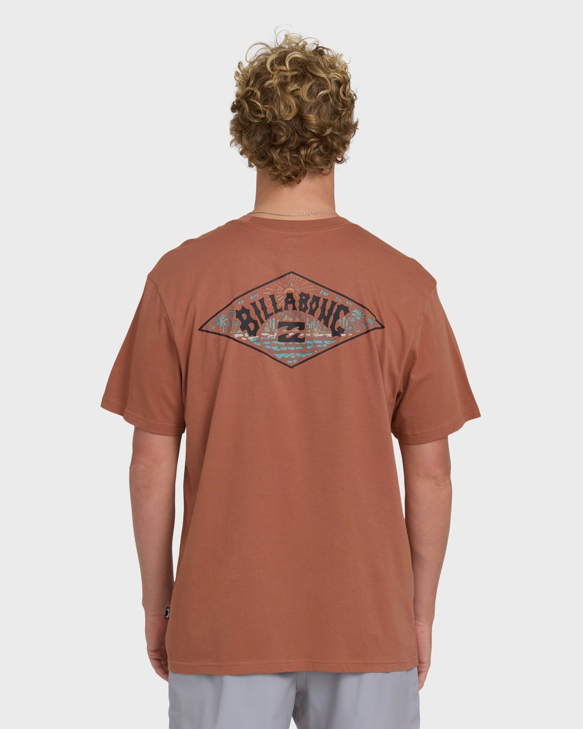 Billabong A/Div Arch Premium Short Sleeve Knit T-Shirt - Cedar Wood