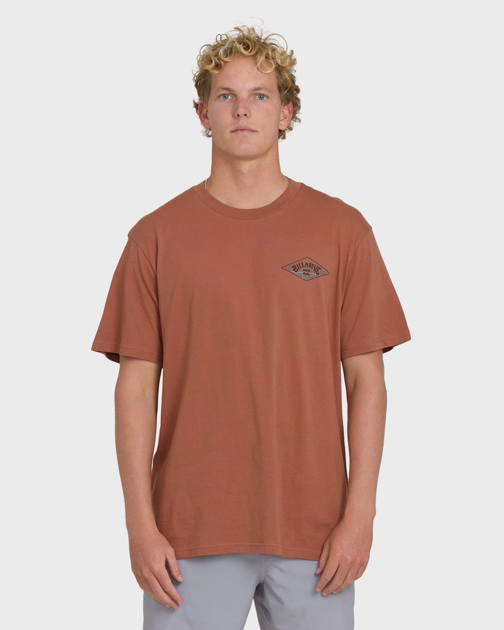 Billabong A/Div Arch Premium Short Sleeve Knit T-Shirt - Cedar Wood