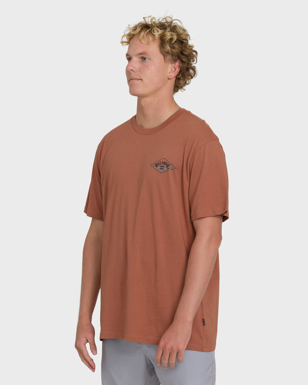 Billabong A/Div Arch Premium Short Sleeve Knit T-Shirt - Cedar Wood