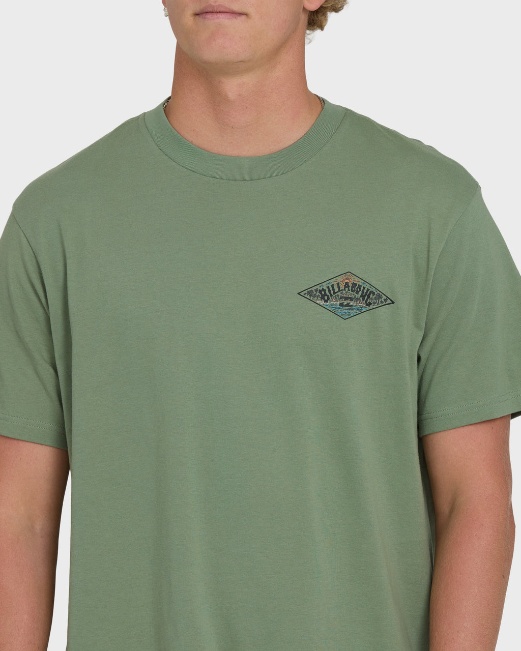 Billabong A/Div Arch Premium Short Sleeve Knit T-Shirt - Hedge Green