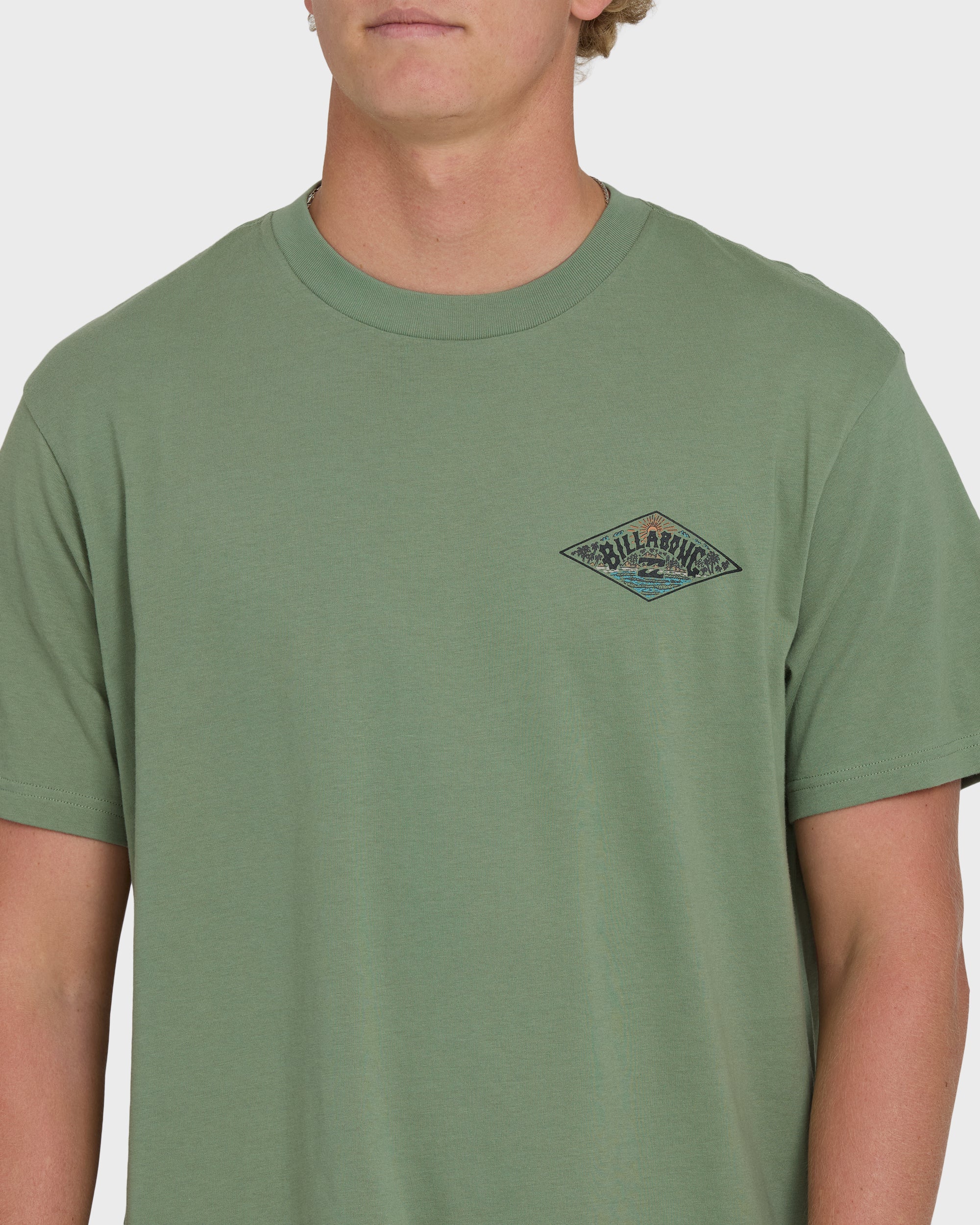 Billabong A/Div Arch Premium Short Sleeve Knit T-Shirt - Hedge Green