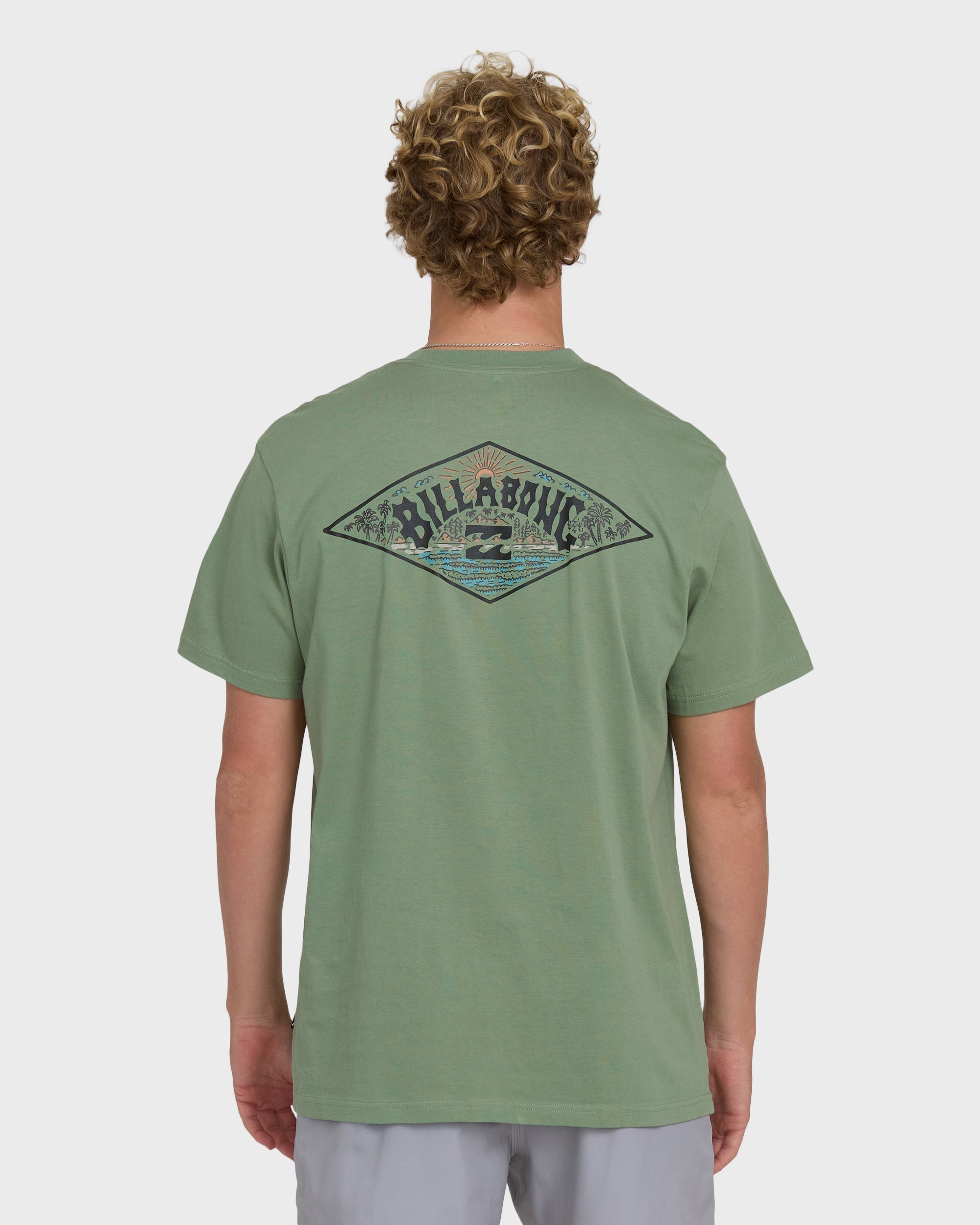 Billabong A/Div Arch Premium Short Sleeve Knit T-Shirt - Hedge Green