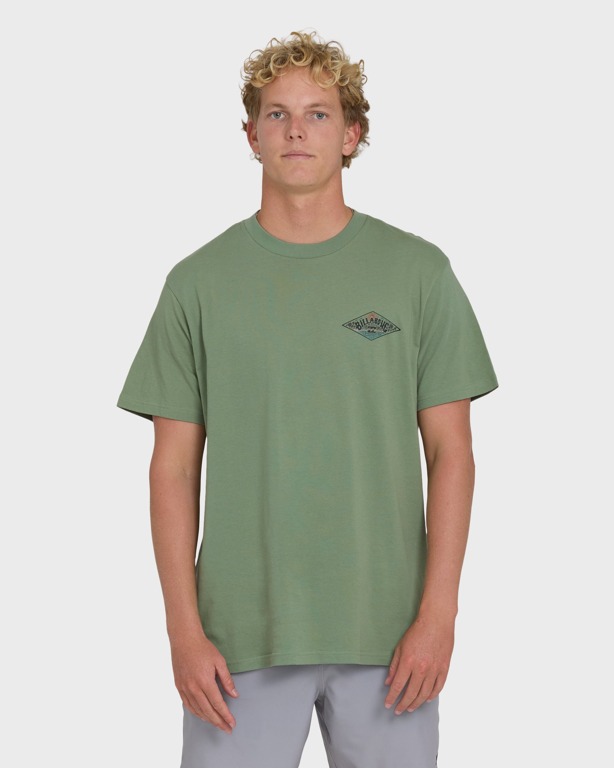 Billabong A/Div Arch Premium Short Sleeve Knit T-Shirt - Hedge Green