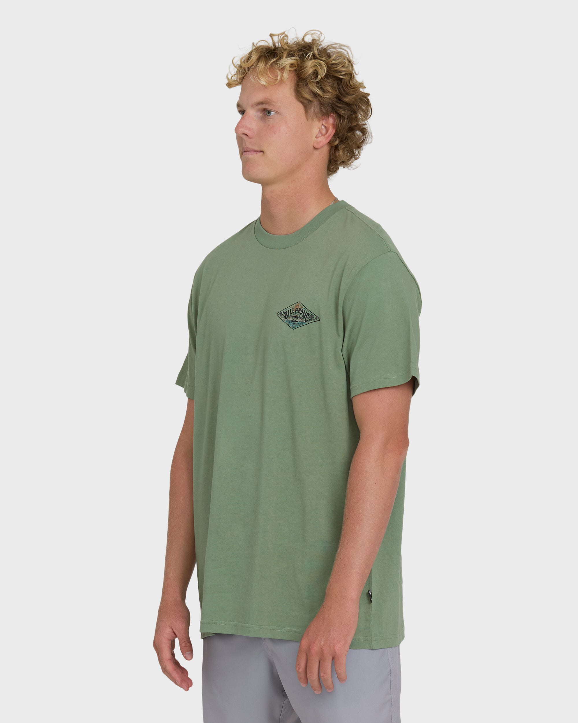 Billabong A/Div Arch Premium Short Sleeve Knit T-Shirt - Hedge Green