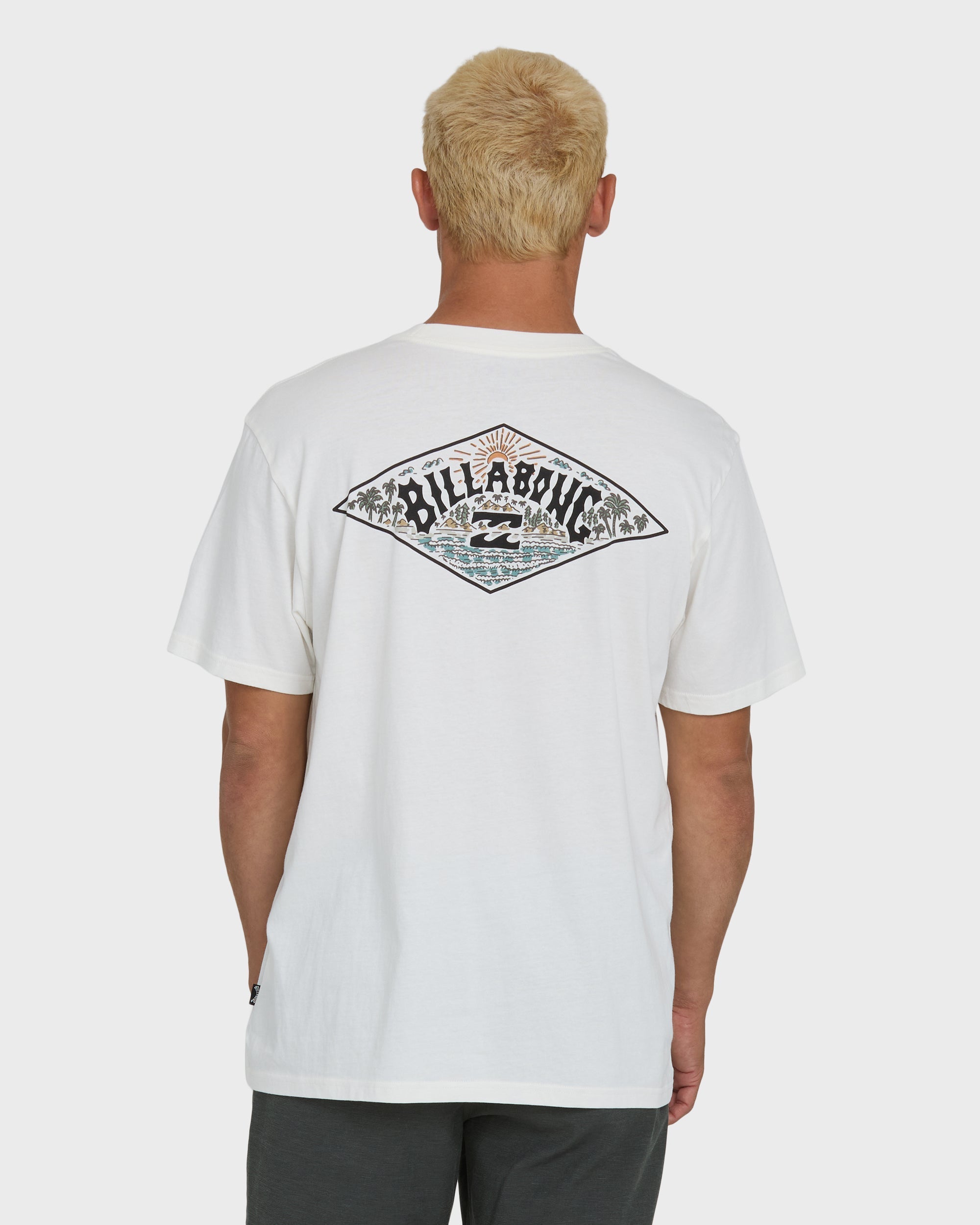 Billabong A/Div Arch Premium Short Sleeve Knit T-Shirt - Off White