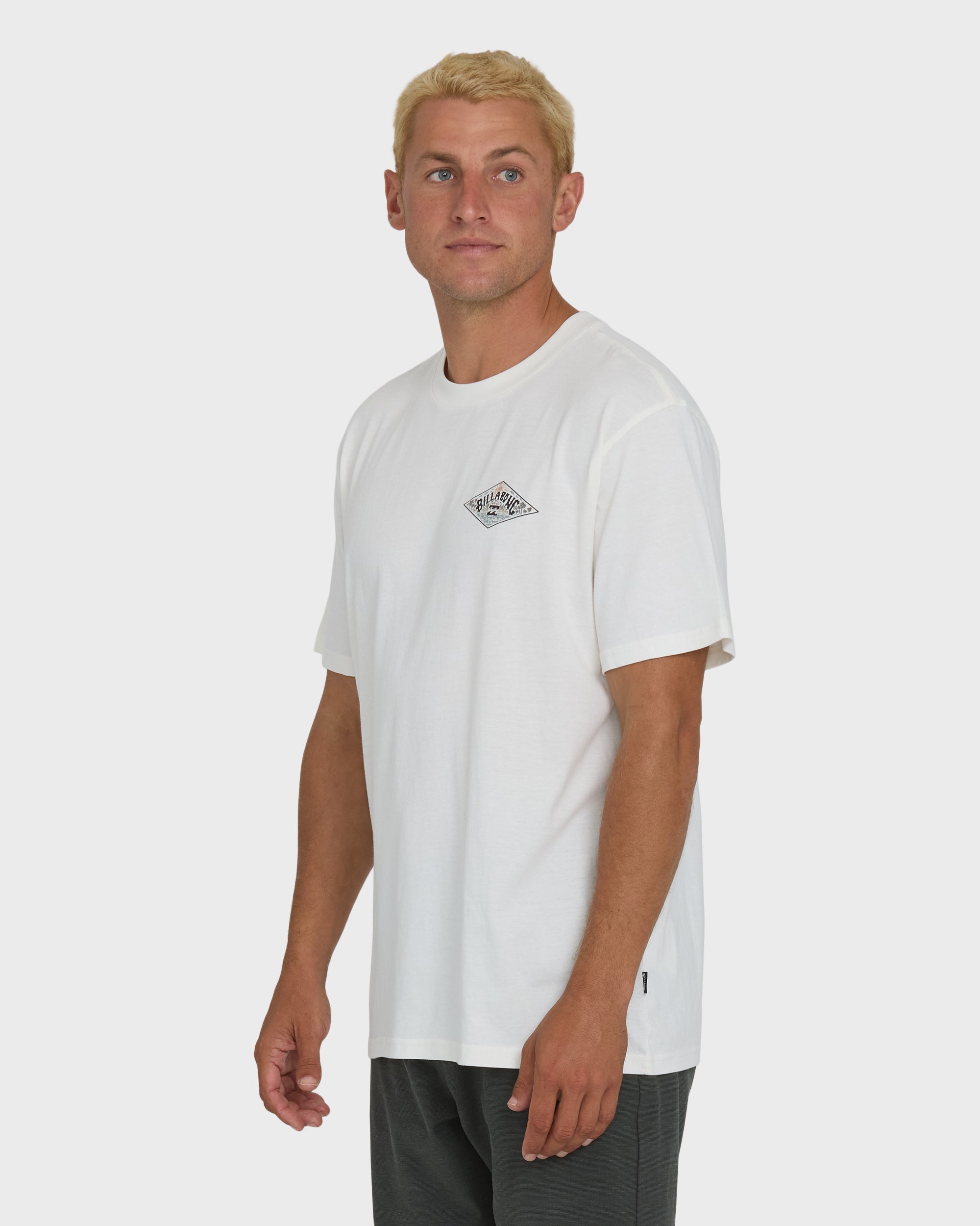 Billabong A/Div Arch Premium Short Sleeve Knit T-Shirt - Off White